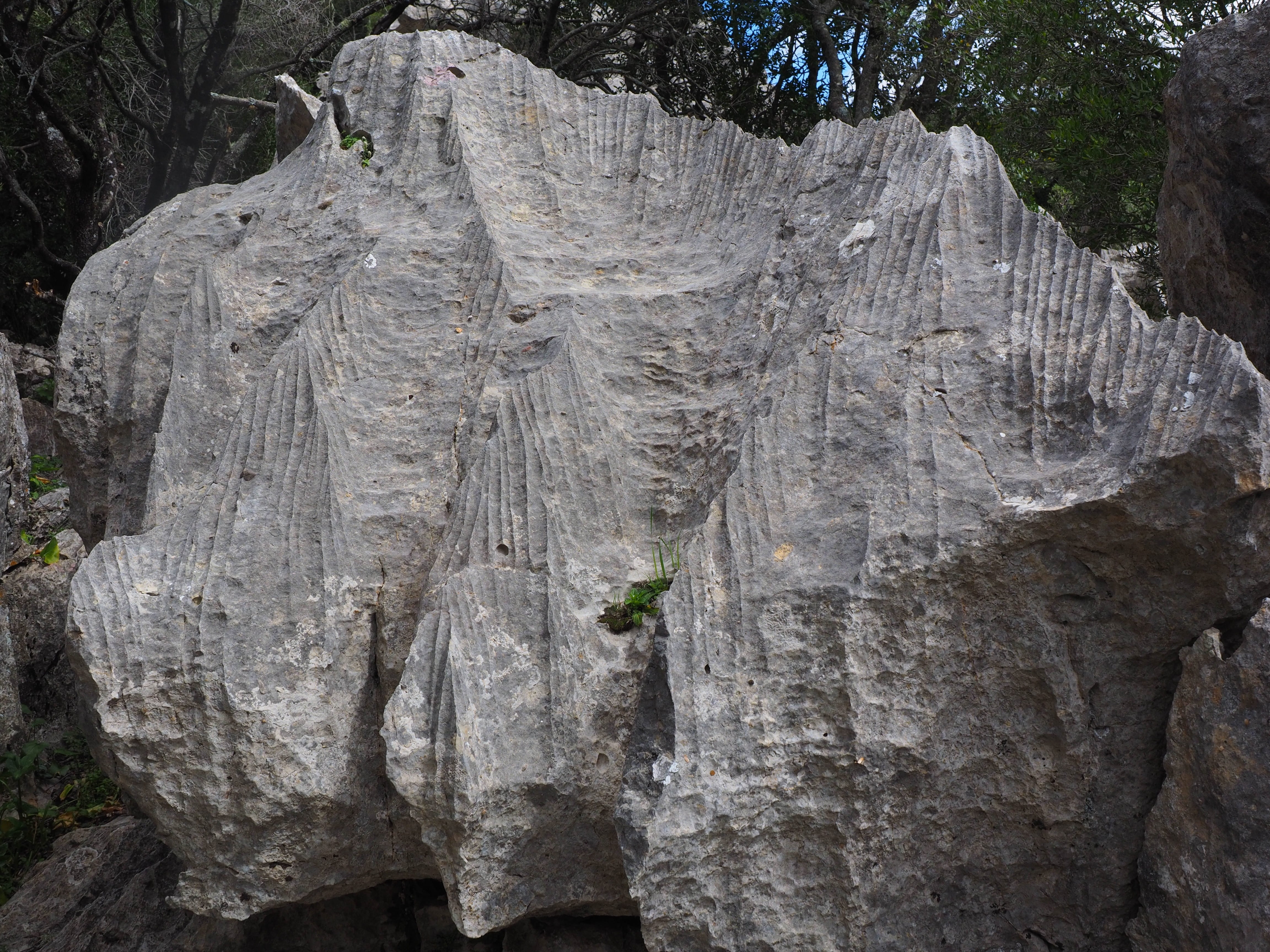 4K, moleta de binifaldó, limestone rock formations, formation, physical geography, rock formation, outdoors, land, Rock, non-urban scene, growth, Limestone, HD Wallpaper
