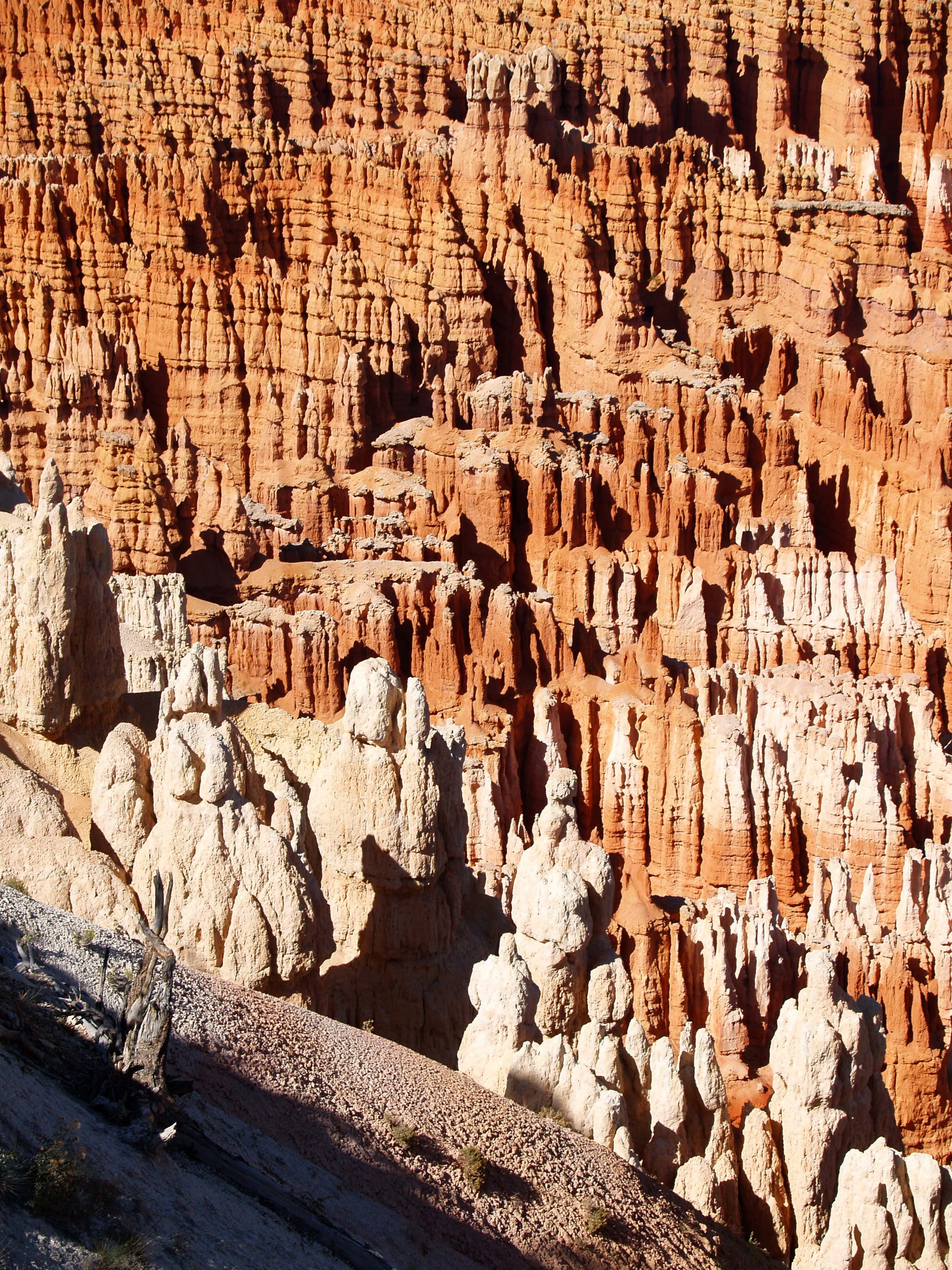 landscape, nature, southwest usa, tourism, pattern, no people, sunlight, rock formation, history, architecture, arid climate, eroded, sand stone, utah, Phone HD Wallpaper