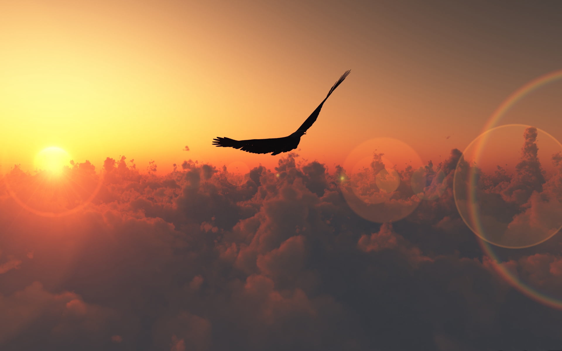 flying, orange Color, flight, tranquility, bird, cloud - Sky, animals in the wild, scenics - nature, air Vehicle, beauty in nature, landscape, illustration, HD Wallpaper