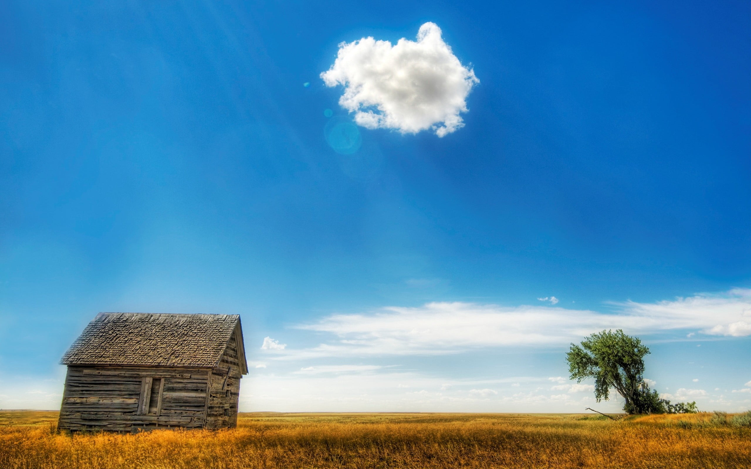 barn, tree, cloud, hut, land, wheat, brown, blue, grass, landscape, cloud - Sky, outdoors, plant, idyllic, rural Scene, prairie, cloudscape, patches of light, HD Wallpaper
