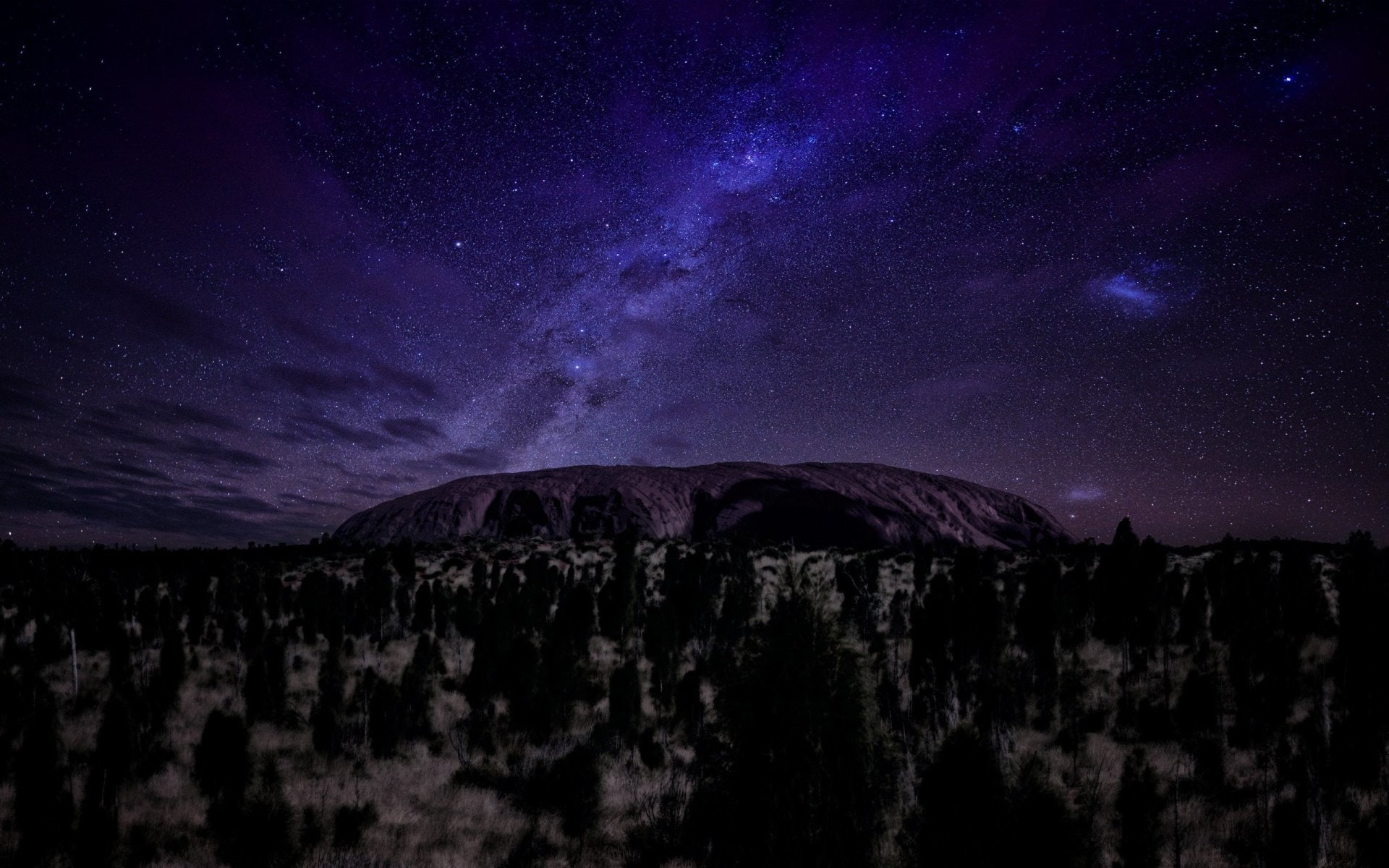 Forest, Sky, Earth, Starry Sky, Tree, Australia, Night, Winter, Ayers Rock, 1080P, HD Wallpaper