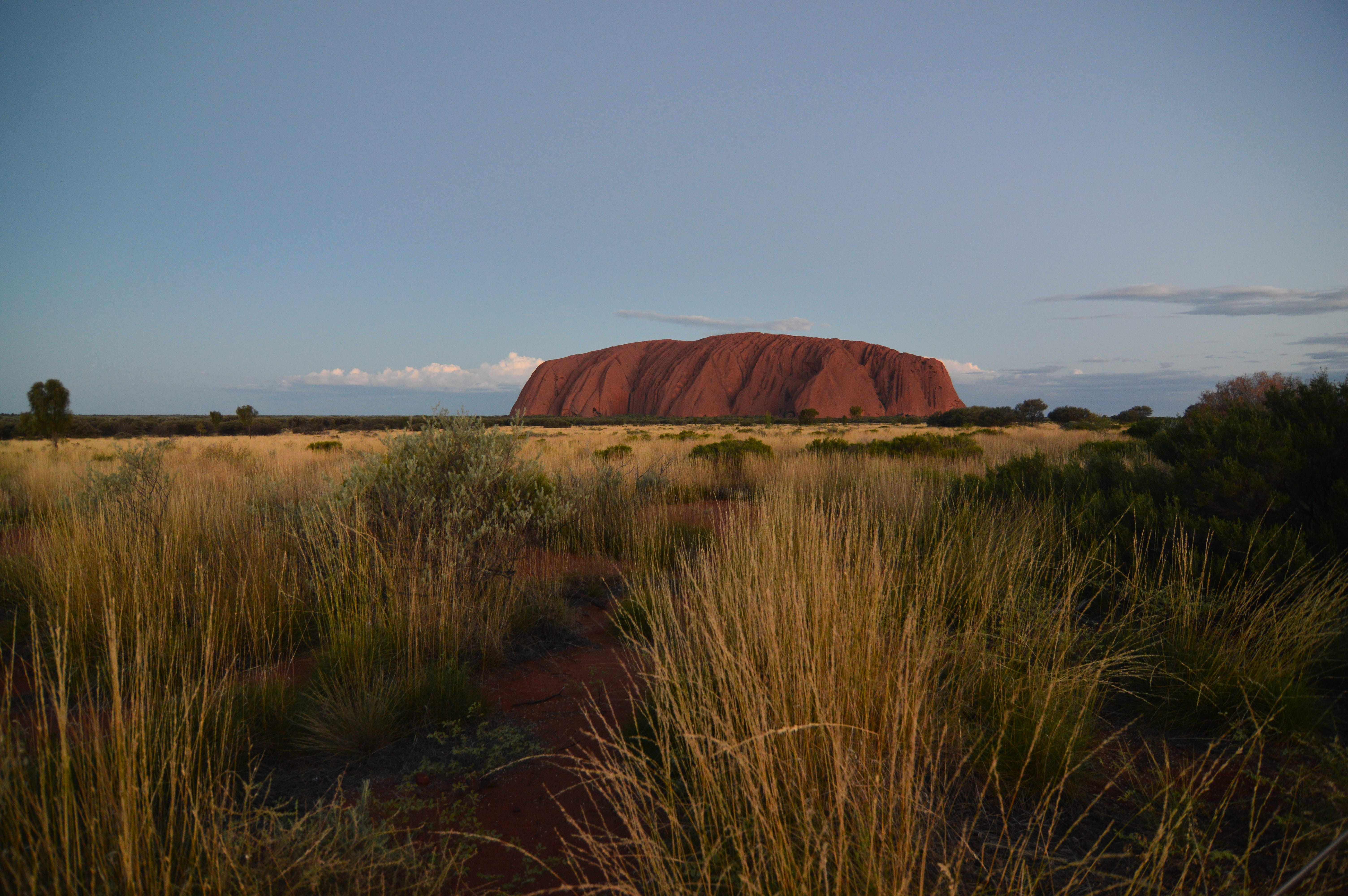 landscape, ayers rock, red centre, field, grass, australia, game grass, uluru, growth, land, sky, environment, desert, tranquility, outback, outdoors, travel, HD Wallpaper