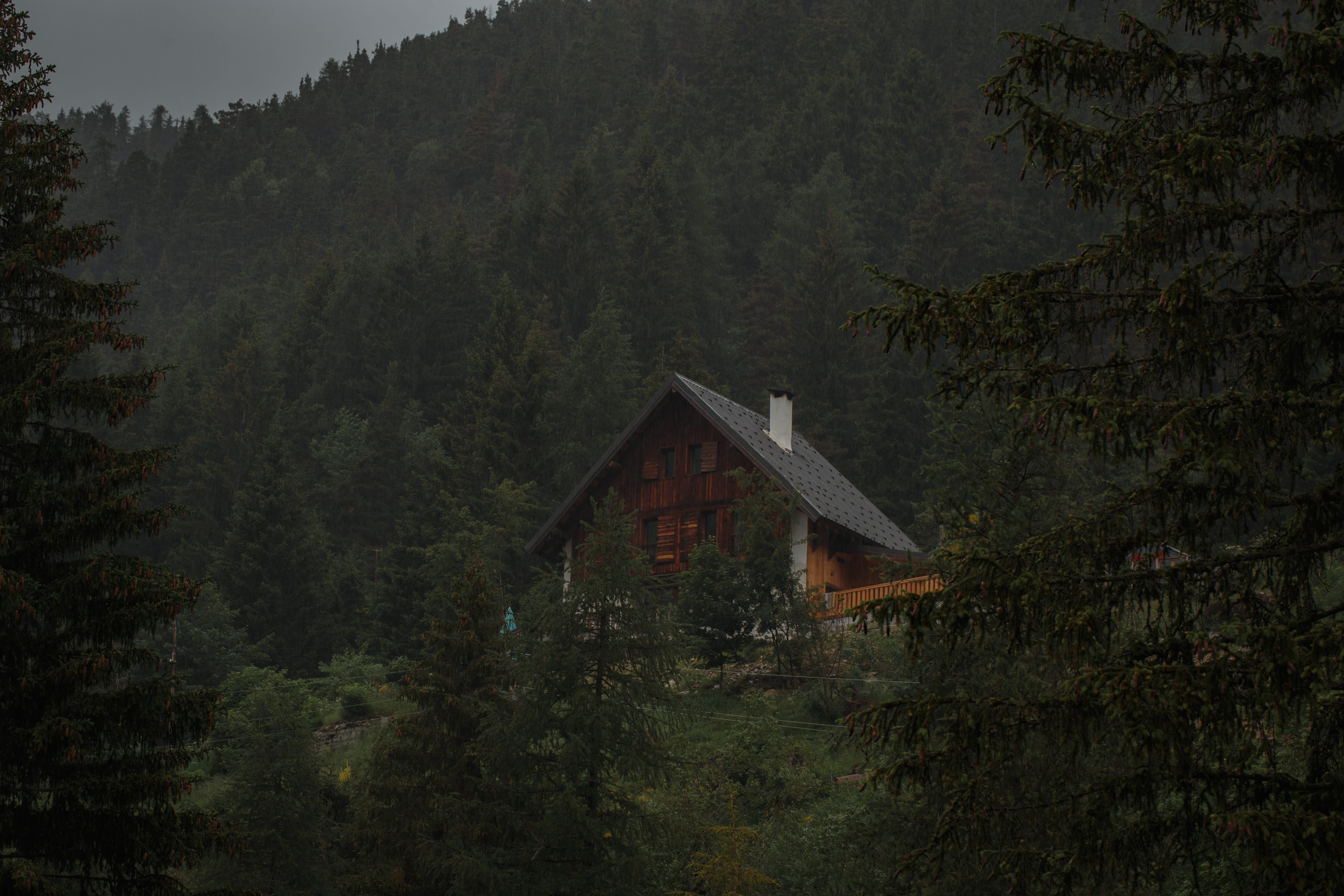 growth, day, non-urban scene, countryside, shelter, nature, cabin, scenics - nature, cottage, green, wooden, plant, no people, tranquility, 5K, surrounded, HD Wallpaper