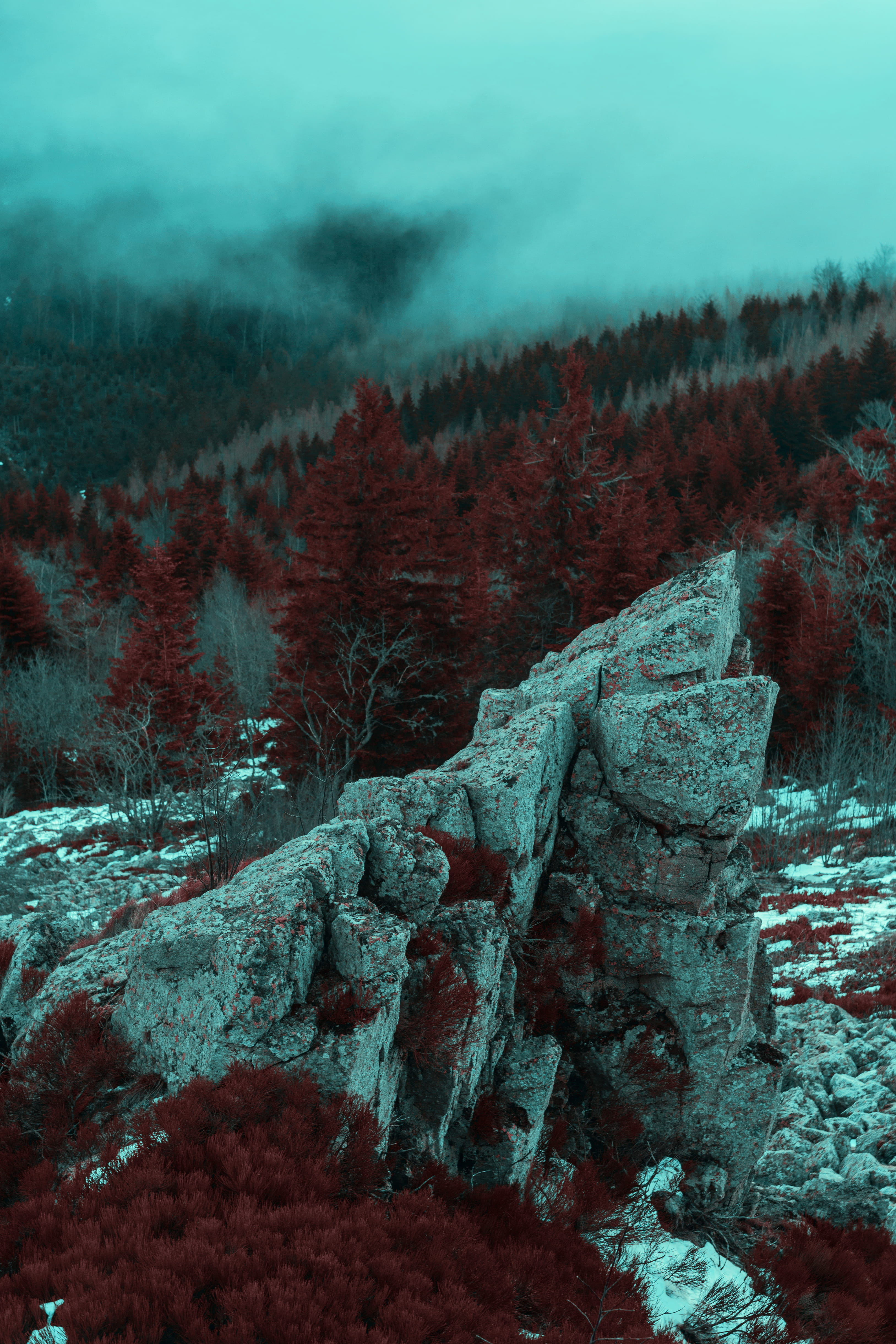 environment, non-urban scene, couleurs, plant, land, no people, the past, texture, route de saint-etienne, brouillard, sky, history, tranquil scene, day, Phone HD Wallpaper