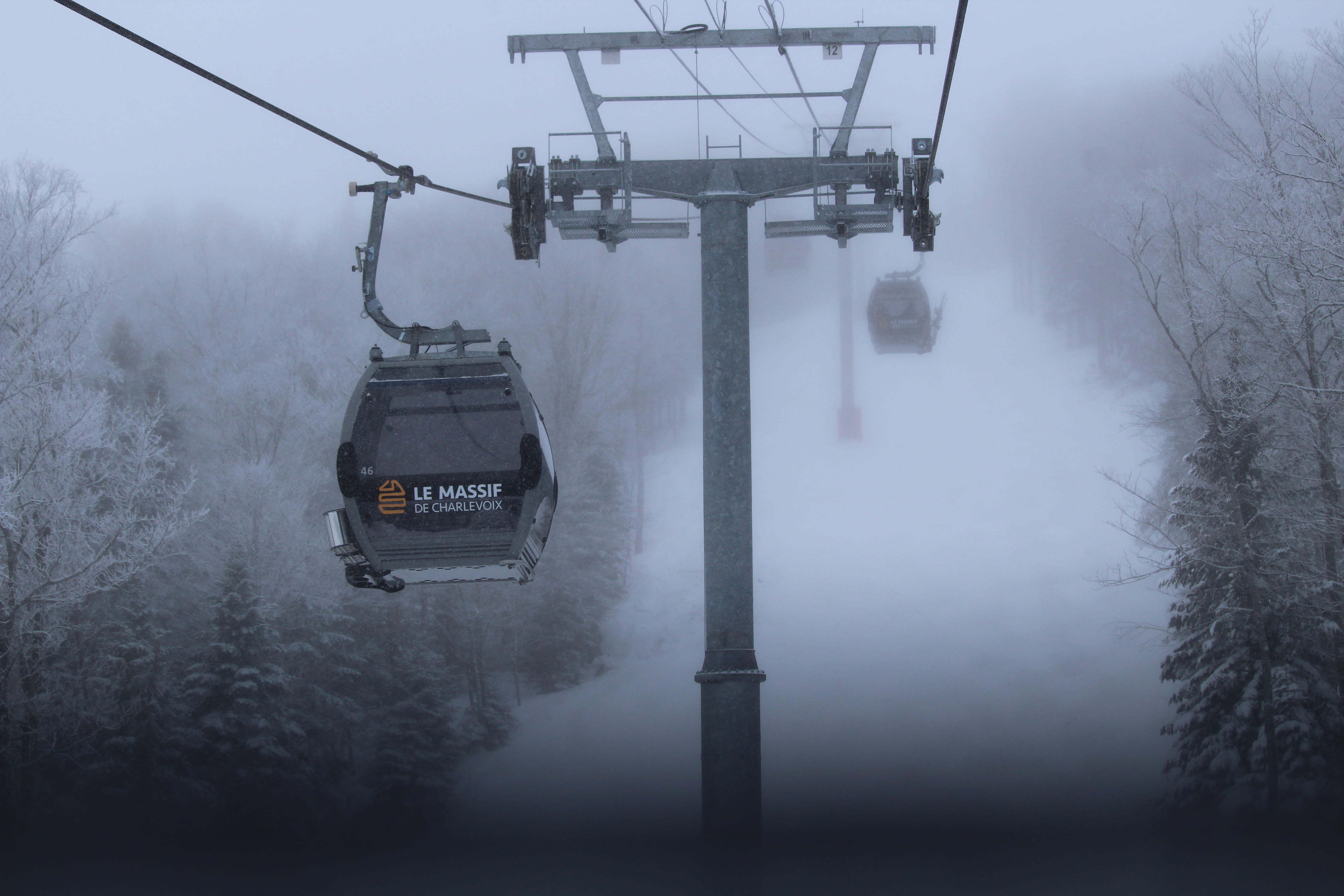 5K, lemassif, nature, le massif, petite-rivière-saint-françois, travel, quebec, tree, transportation, outdoors, day, fog, cable, cable car, extreme weather, HD Wallpaper