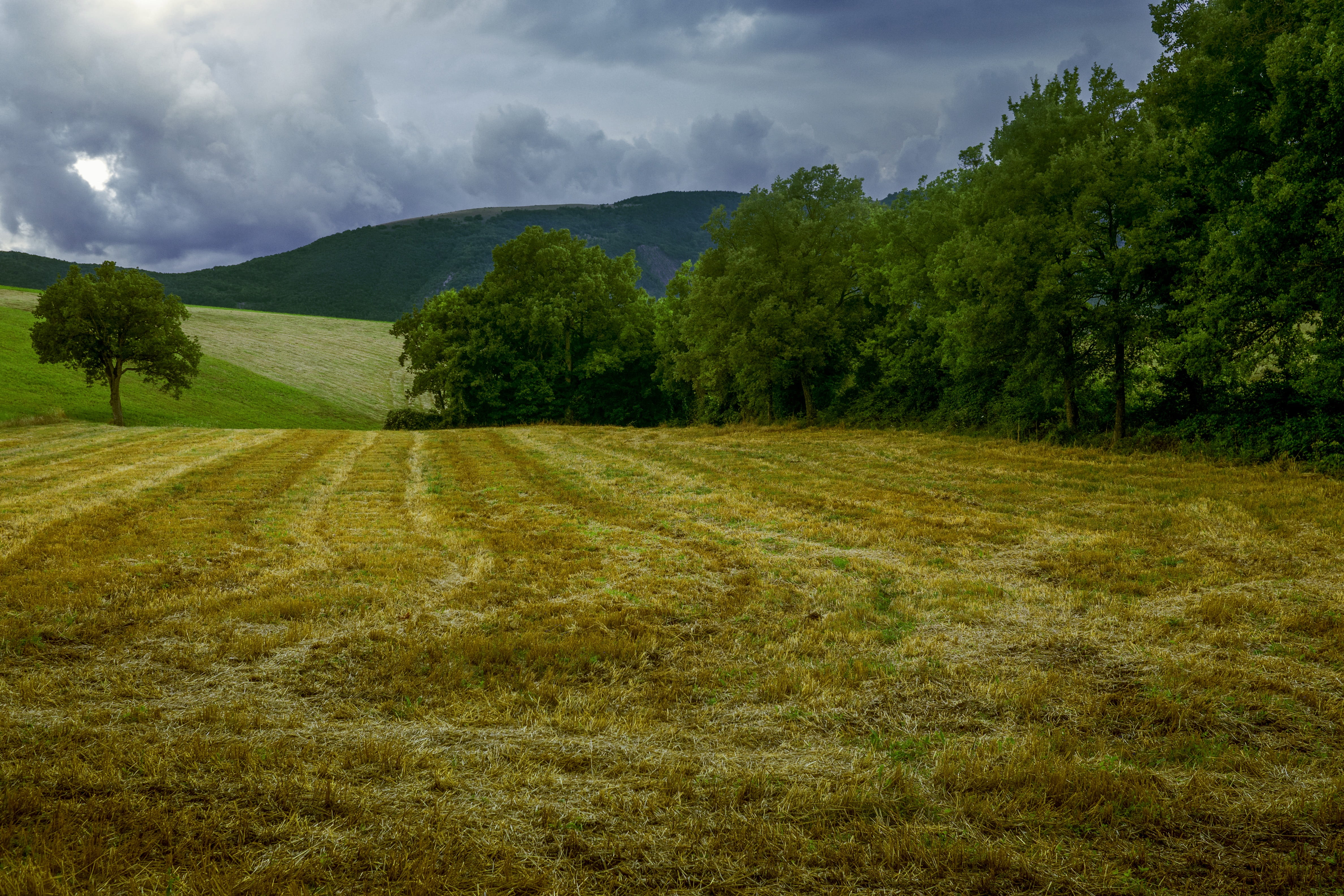 green color, cloud - sky, tranquility, day, appennino, scenics - nature, non-urban scene, grass, no people, green, hill, rolling landscape, tranquil scene, HD Wallpaper