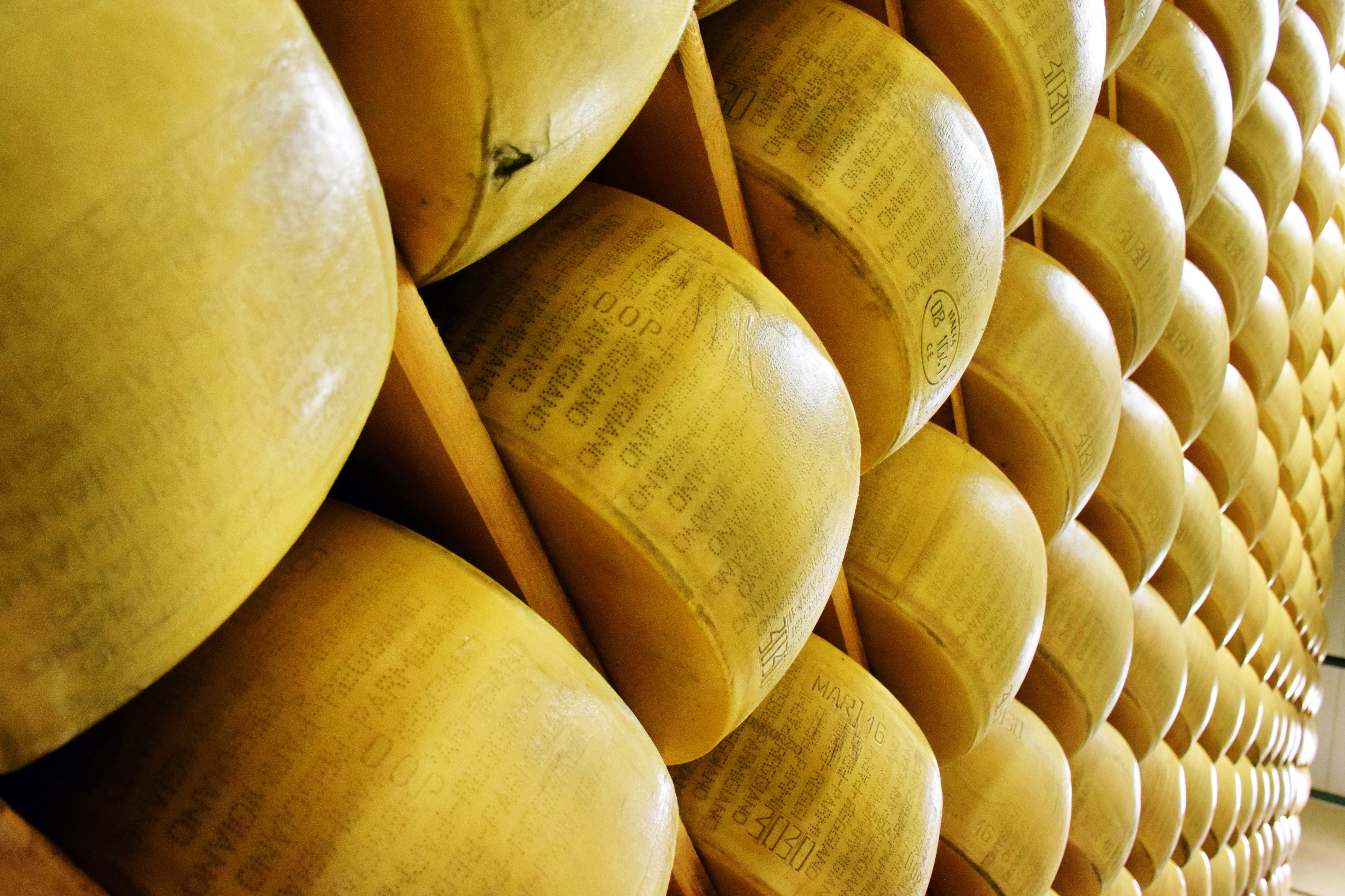 roll, italy, italian, no people, yellow, parmigiano reggiano, food and drink, cuisine, gourmet, wellbeing, backgrounds, arrangement, food, parmesan, healthy eating, HD Wallpaper
