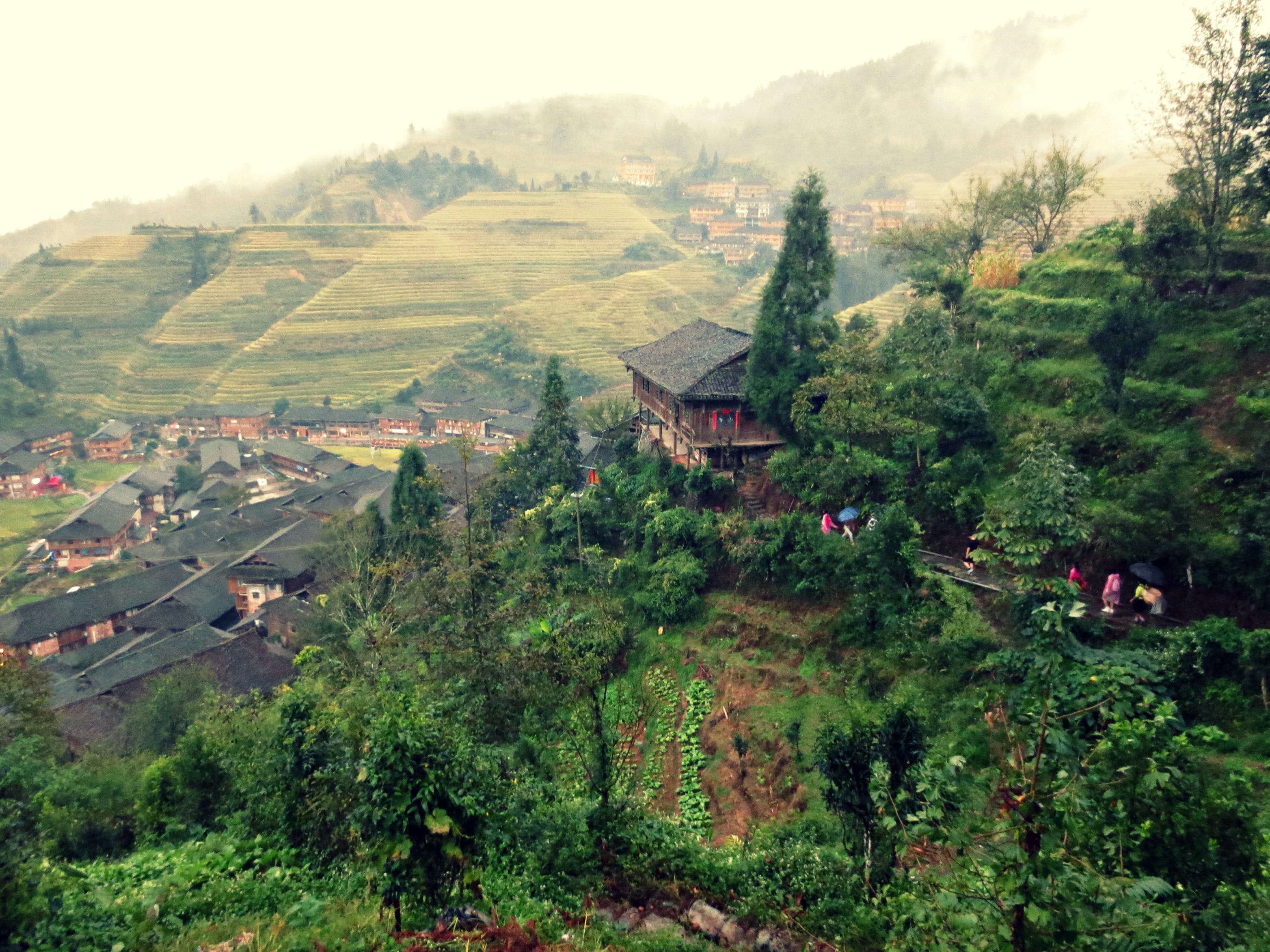 plant, rice terrace, mountain, scenics - nature, high angle view, beauty in nature, 2K, built structure, tree, nature, outdoors, architecture, no people, HD Wallpaper