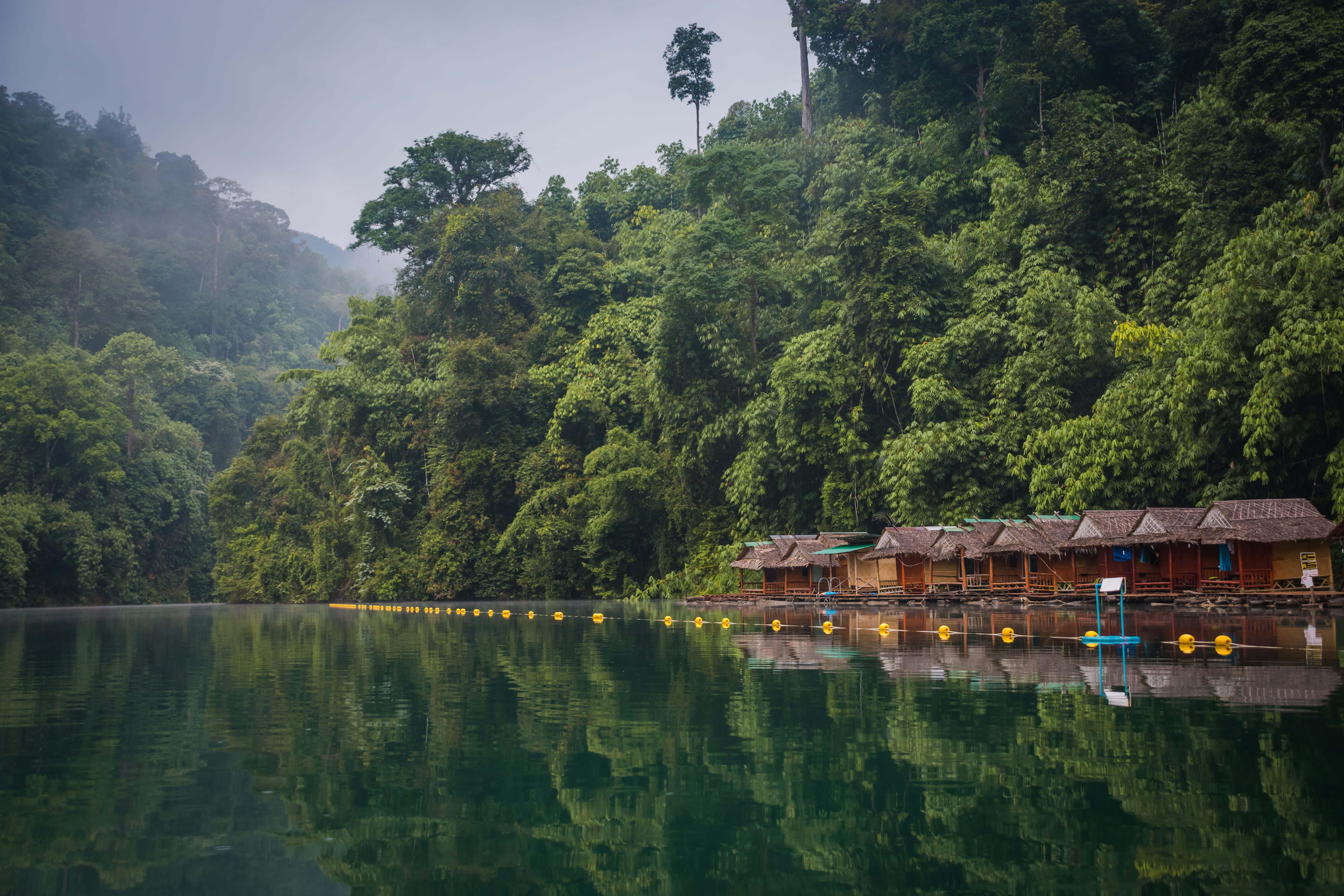 non-urban scene, forest, near, tranquil Scene, lake, cultures, plant, nature, huts, transportation, no people, trees, east Asian Culture, mountain, green, HD Wallpaper