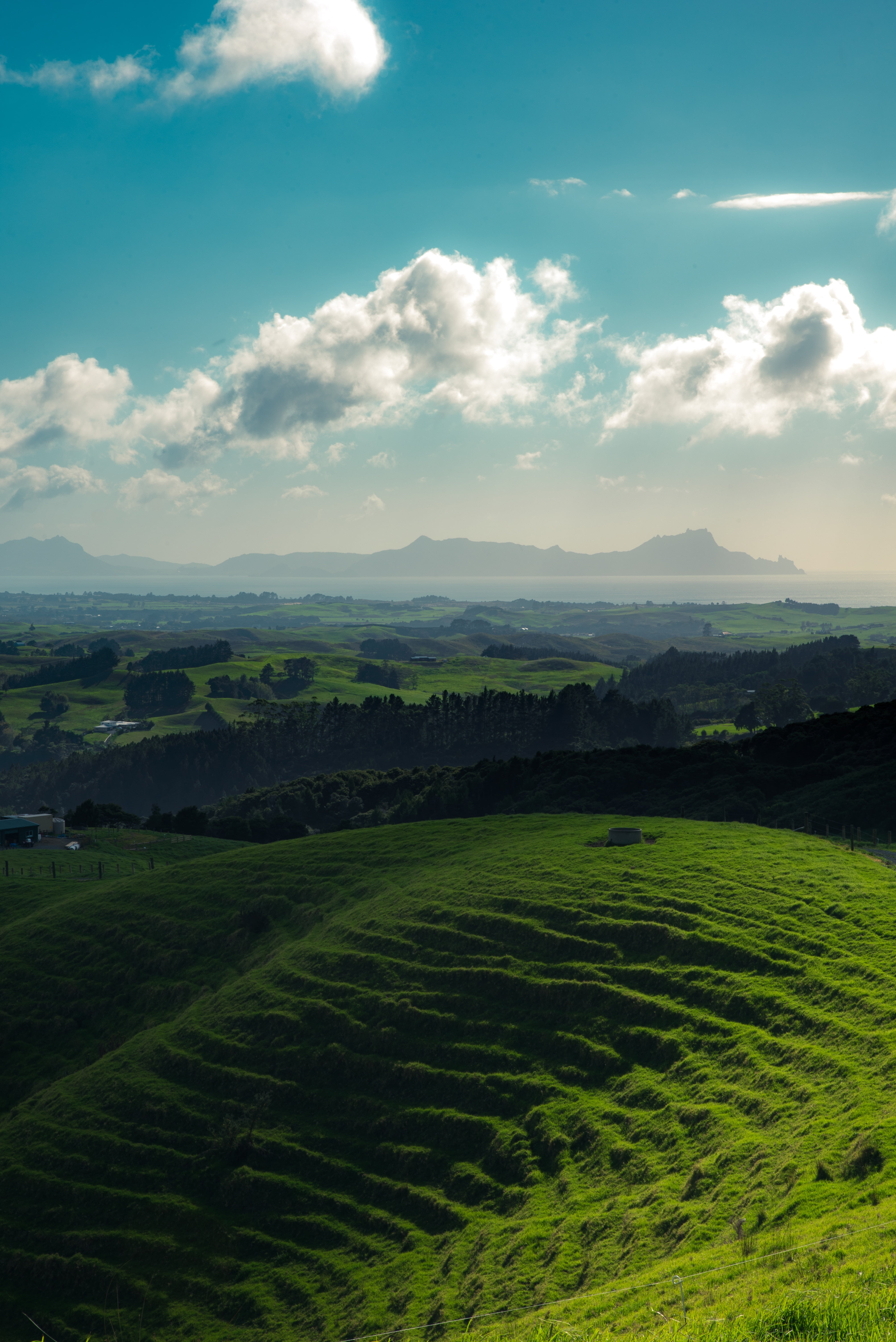 agriculture, travel, green, sky, scenics - nature, cloud - sky, crop, hills, rural Scene, morning, outdoors, hill, land, new zealand, growth, whangarei, Phone HD Wallpaper
