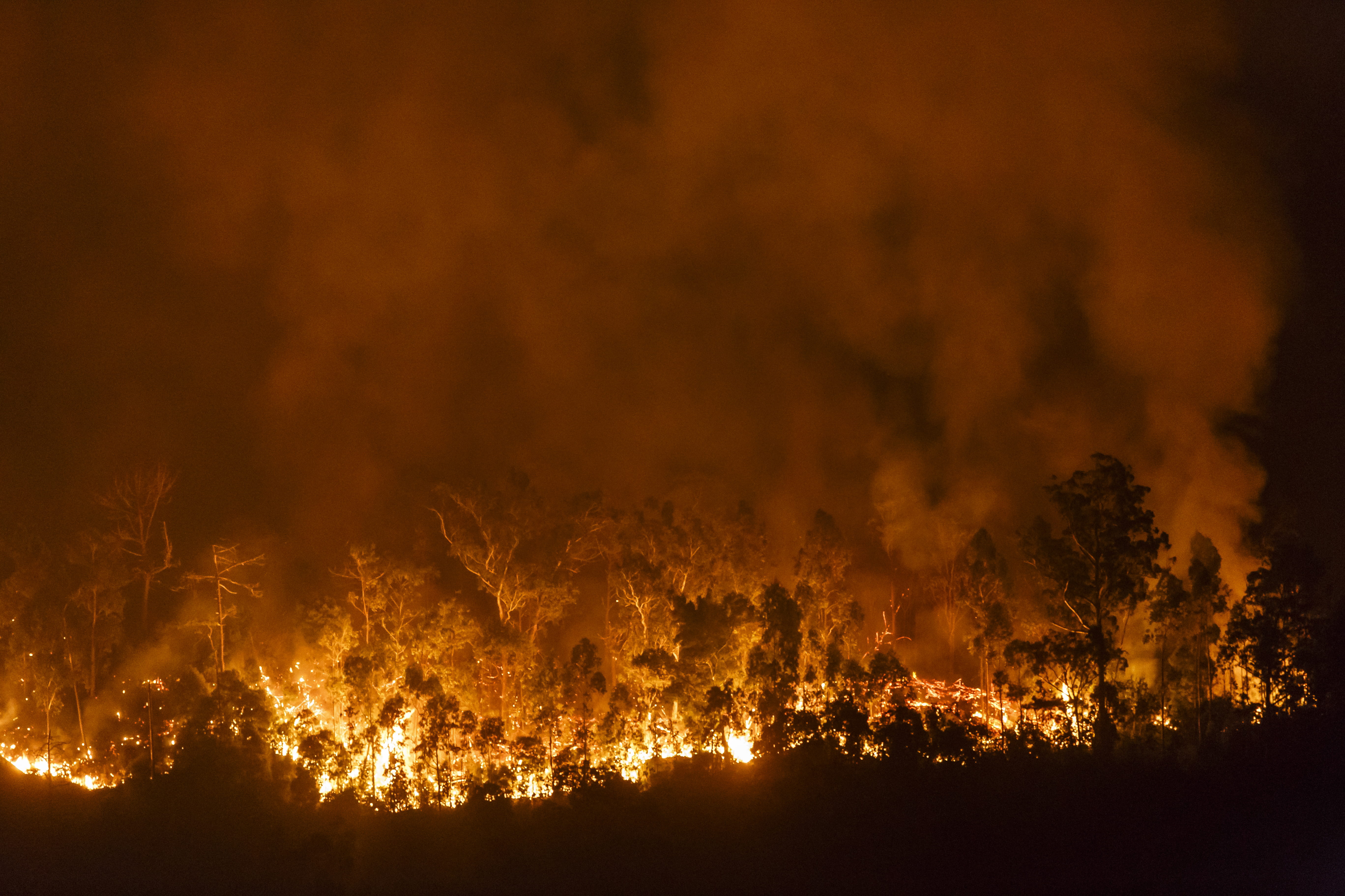 5K, flame, portugal, nature, dark, pollution, orange color, glowing, environmental issues, warning sign, inferno, fire - natural phenomenon, destruction, HD Wallpaper