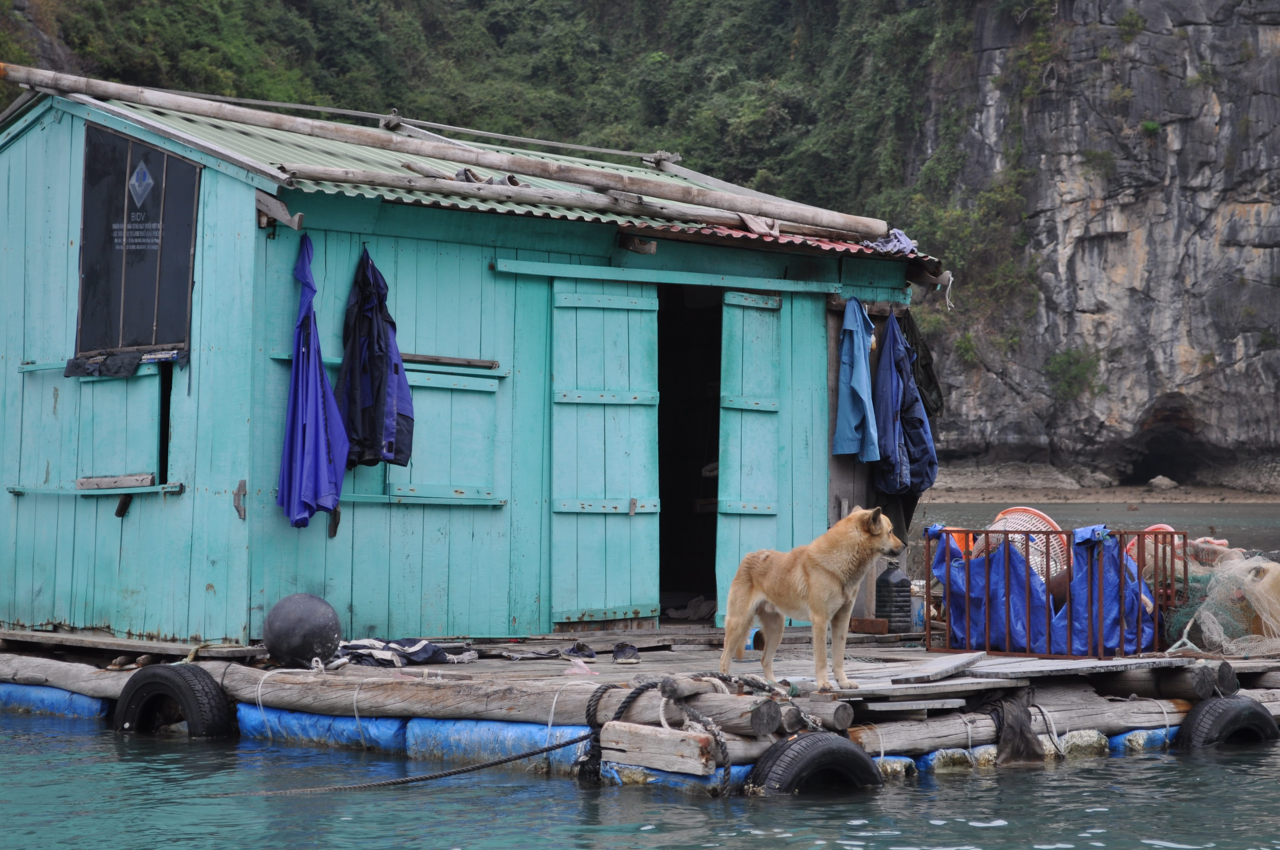 people, Village, water, architecture, day, Hut, nautical vessel, fishermans hut, halong bay, travel destinations, building exterior, domestic animals, outdoors, HD Wallpaper