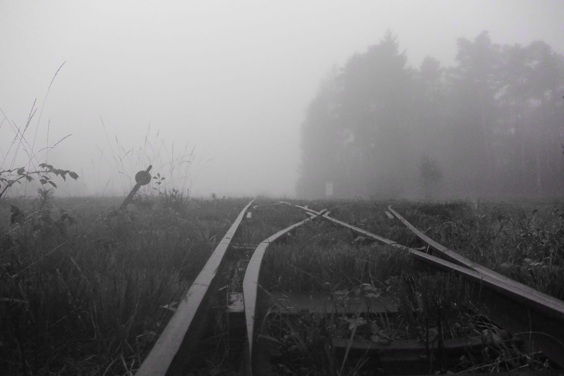 Gloomy, 1080P, cold temperature, Landscape, Moorland, land, seemed, day, environment, non-urban scene, grass, rail transportation, sky, train, tranquility, HD Wallpaper