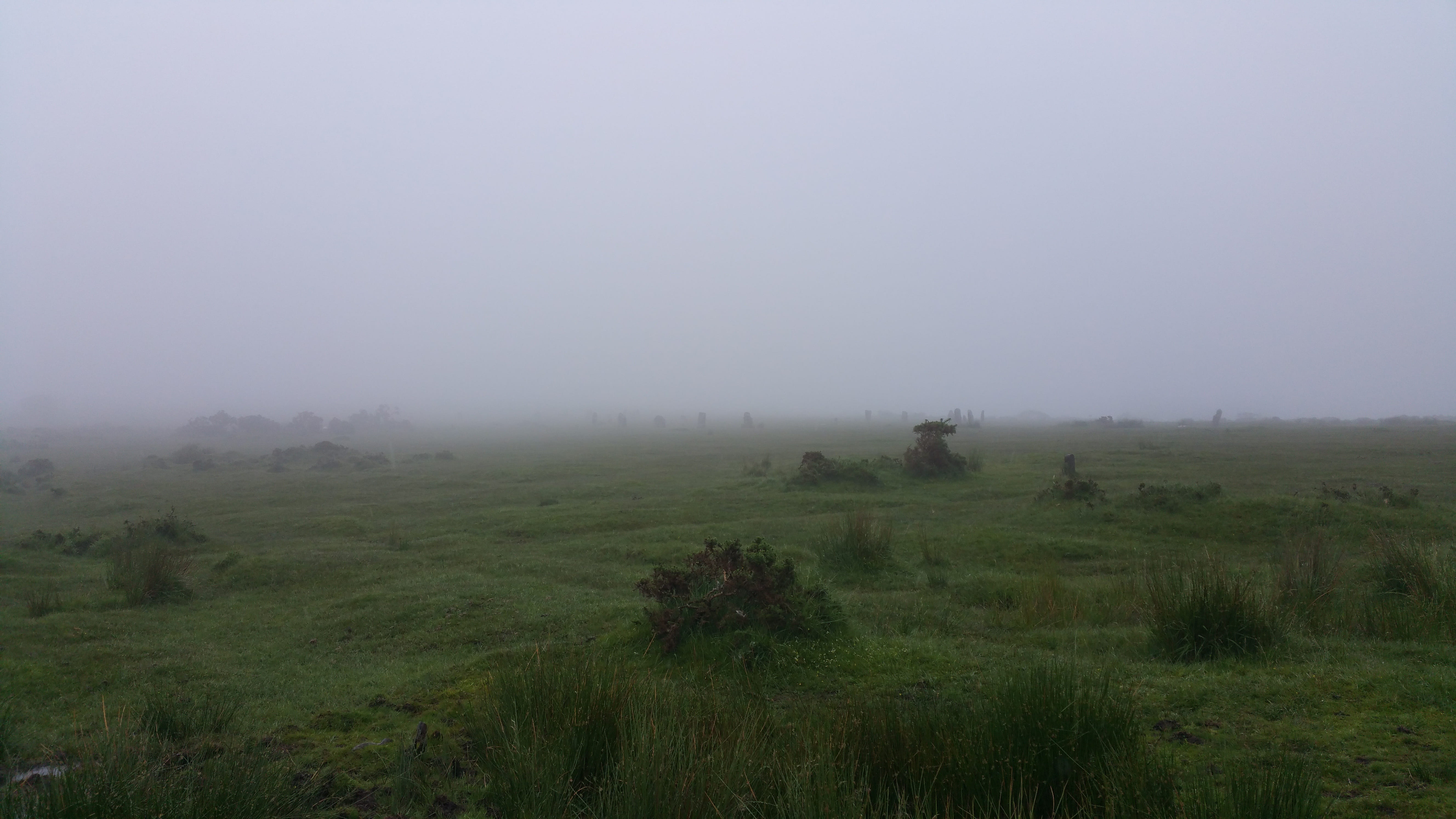 5K, tranquil scene, land, cornwall, outdoors, sky, no people, rural scene, nature, Moody, windswept, agriculture, Fog, morning, tranquility, scenics - nature, HD Wallpaper