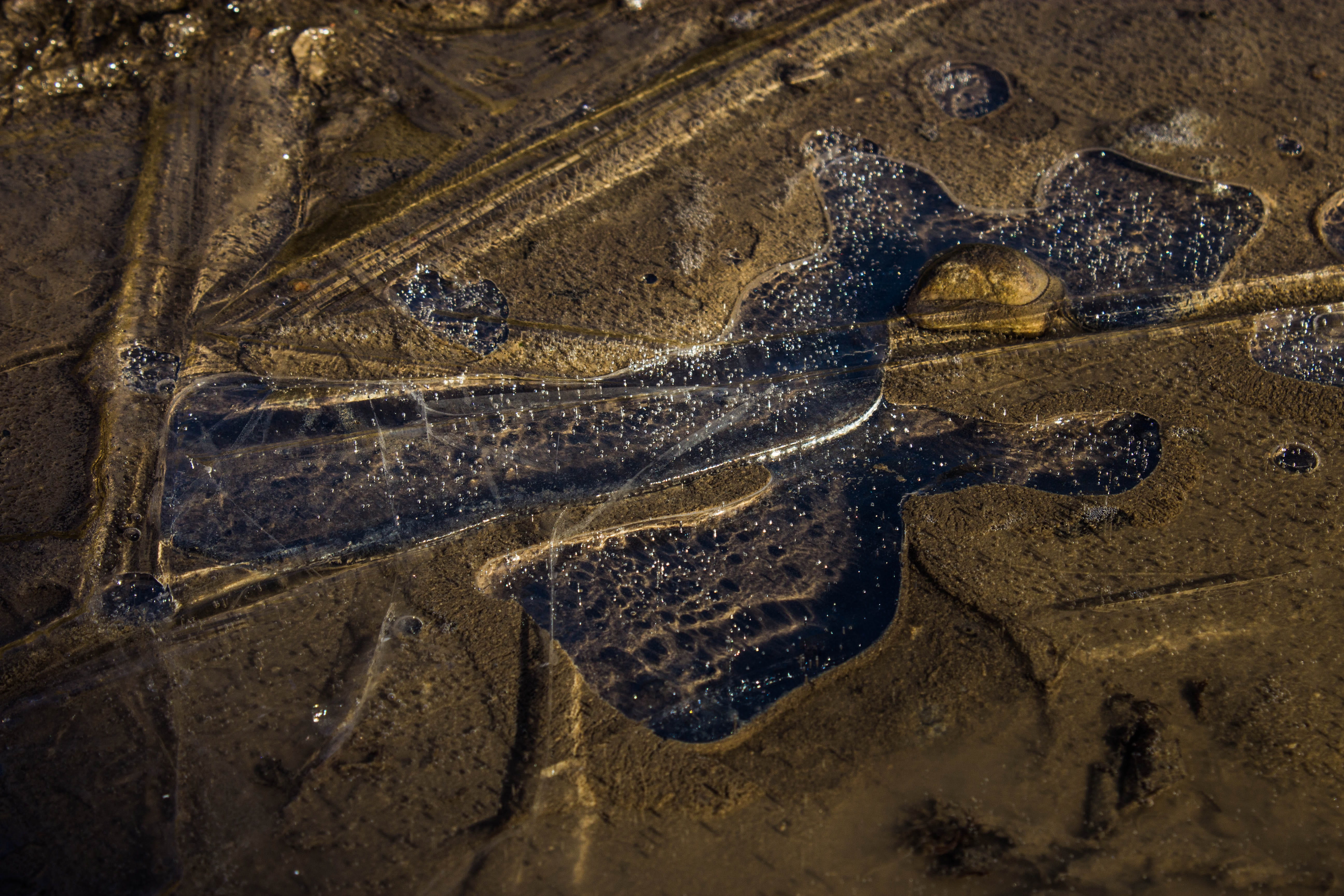 extinct, from above, field, beach, drone, ancient, history, animal, s, close-up, high angle view, day, water, architecture, 5K, landscape, sand, eye, view, HD Wallpaper