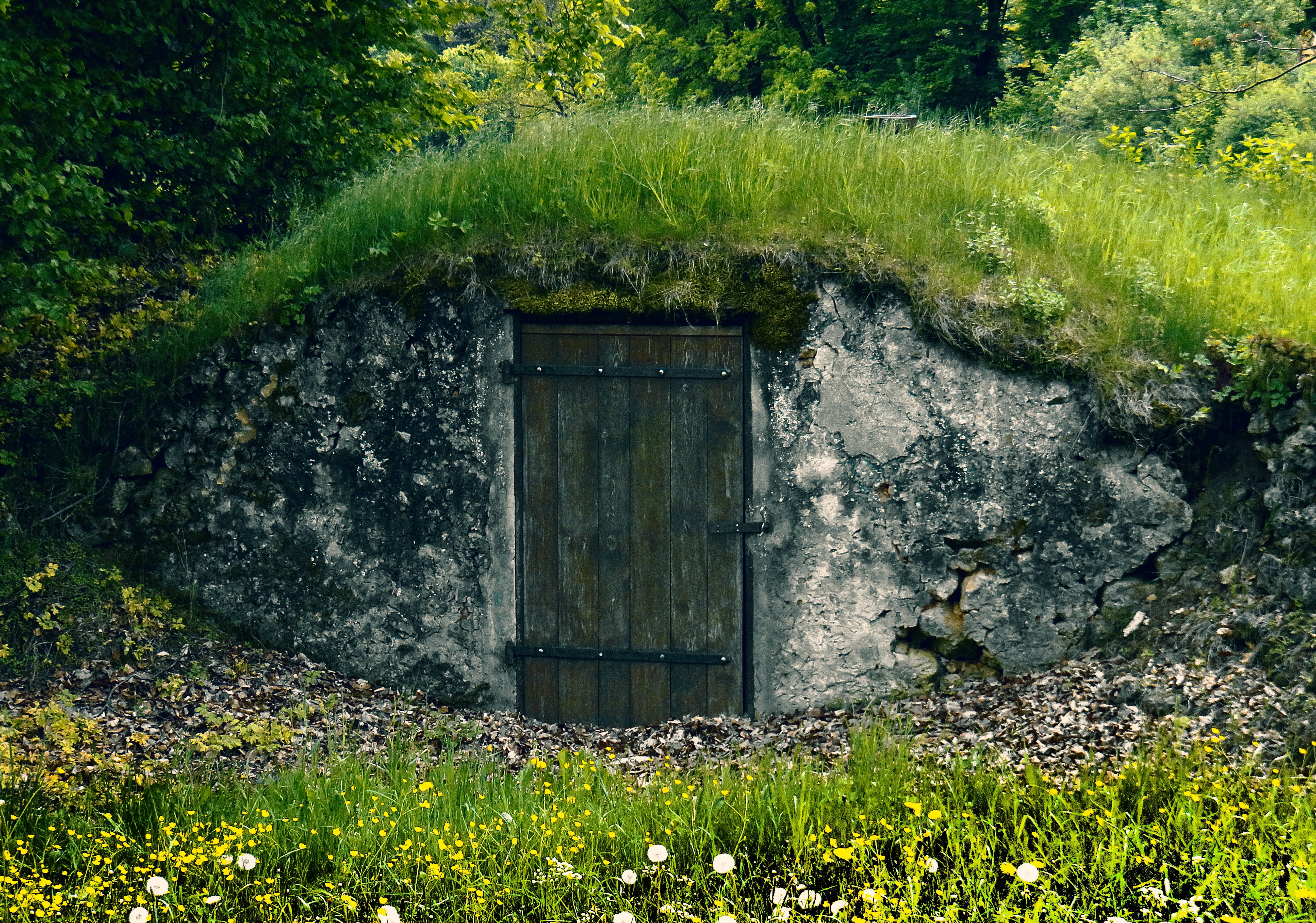 building, house, 5K, front, wooden door, green, stones, field, built structure, door, day, landscape, masonry, plant, natural cellar, brown, closed, grass, HD Wallpaper