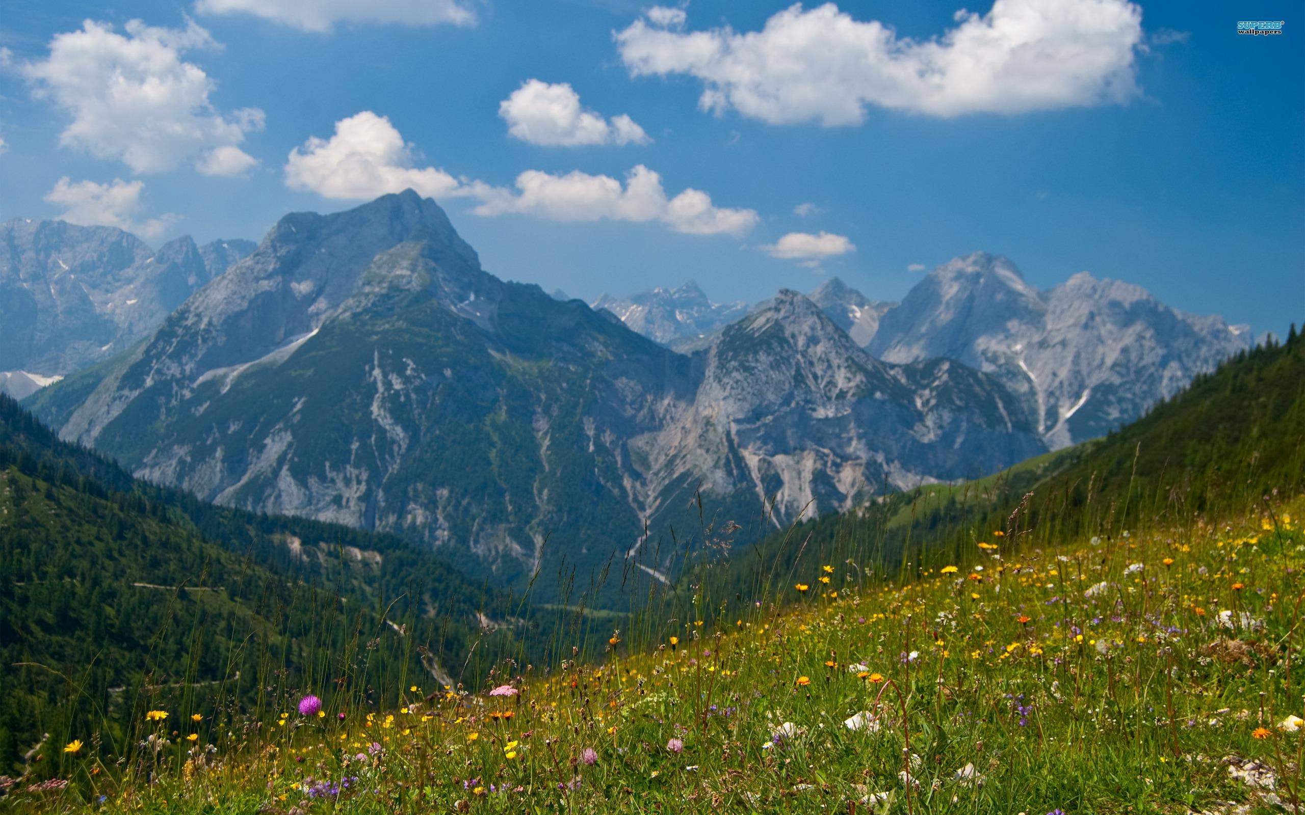 nature and landscapes, mountains, 2K, karwendel, fields, flowered, flowers, HD Wallpaper