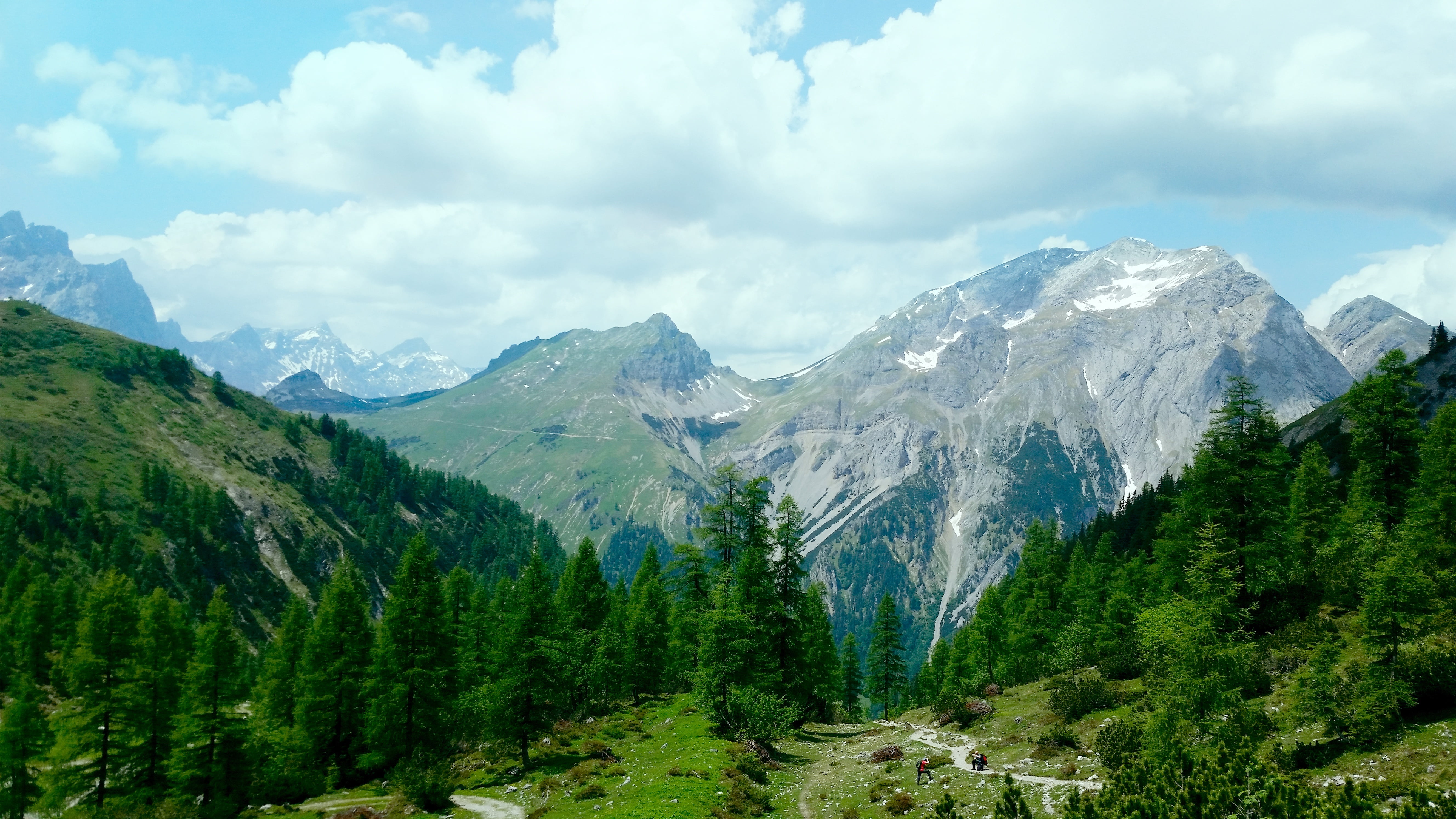mountain, pine tree, beauty in nature, non-urban scene, plant, land, 5K, tranquility, snowcapped mountain, green color, pine woodland, outdoors, mountain range, HD Wallpaper
