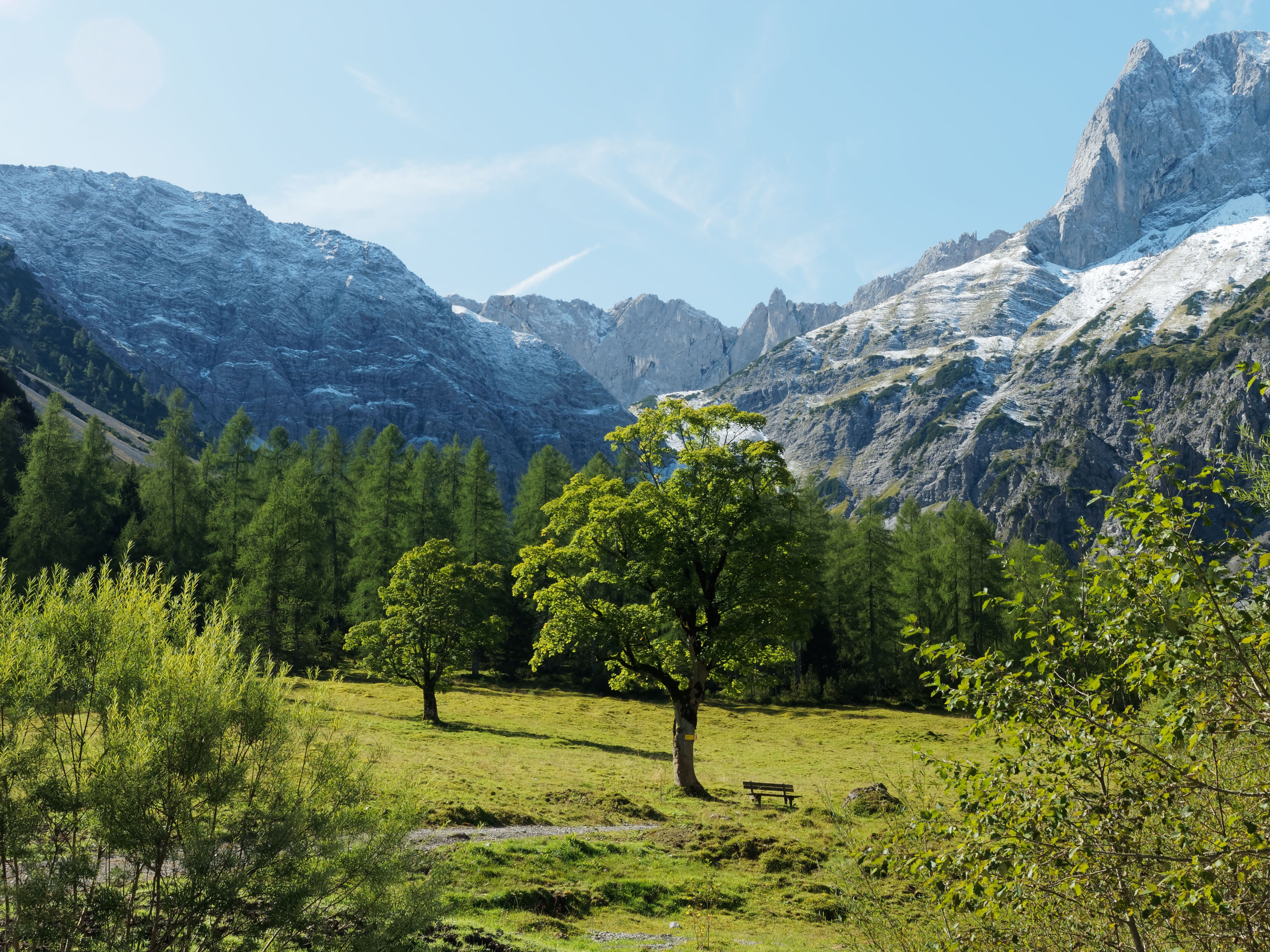 mountain pastures, tranquility, nature, outdoors, mountain, coniferous tree, environment, tree, karwendel, sky, austria, mountain range, idyllic, tranquil scene, HD Wallpaper