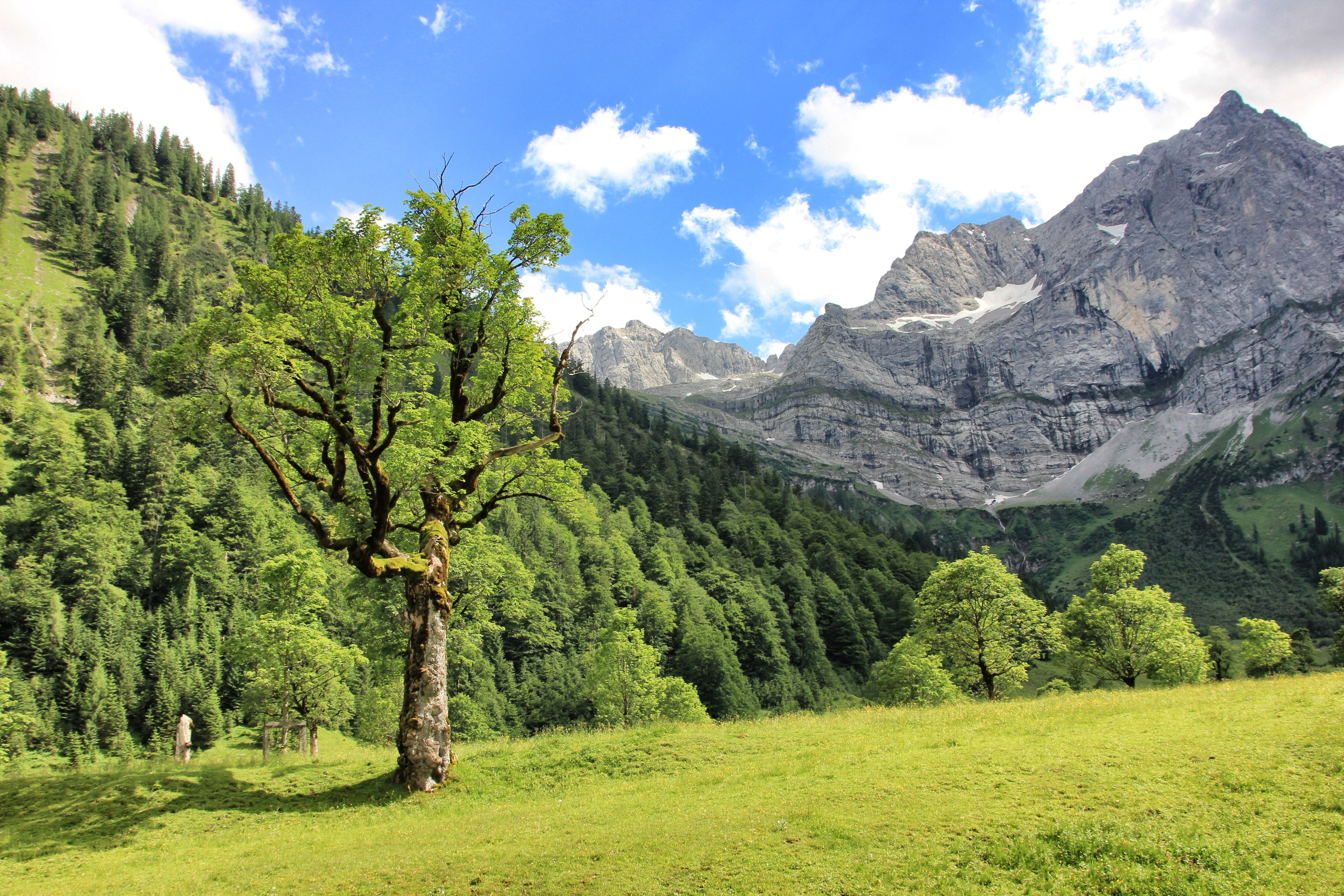 ahornboden, travel, mountain, plant, environment, formation, tranquility, wood, tree, landscape, scenic, nature, day, mountains, beauty in nature, non-urban scene, HD Wallpaper