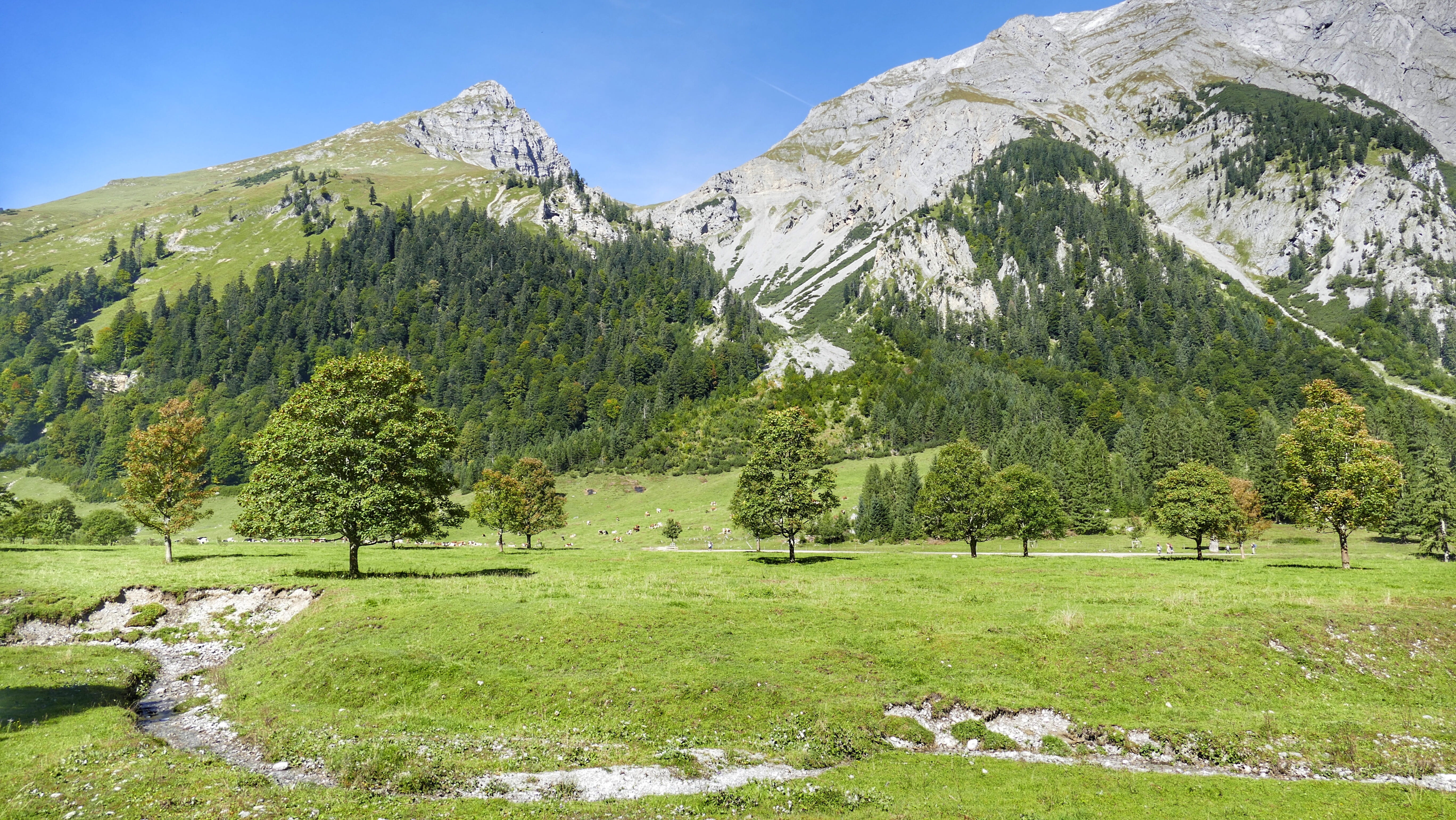 land, summer, no people, coniferous tree, green color, scenic, panorama, austria, tranquility, plant, pine tree, non-urban scene, ahornboden, growth, rock, HD Wallpaper