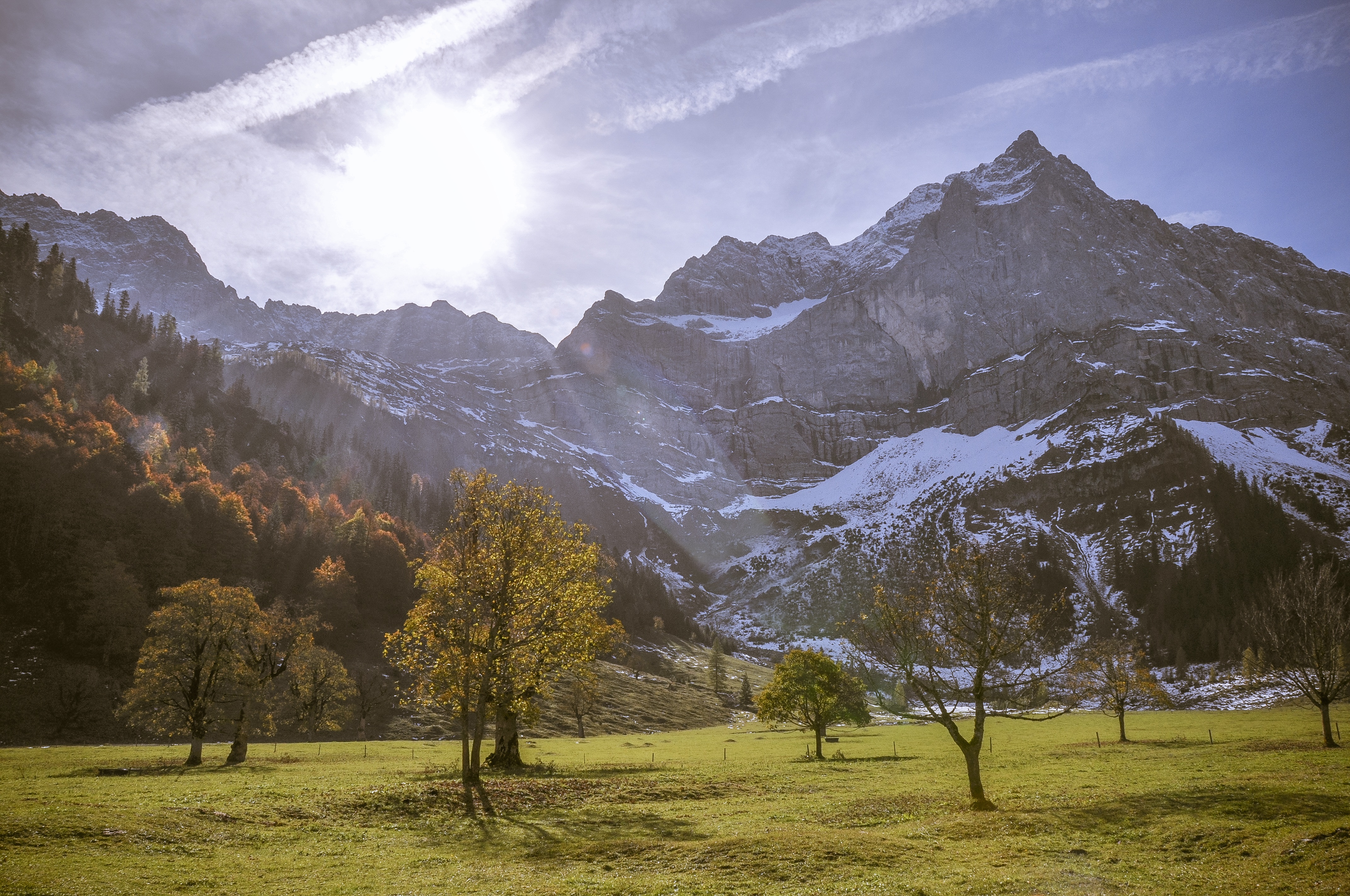bright, non-urban scene, eng, sunlight, 4K, outdoors, lighting, alpine, grass, land, autumn, tranquil scene, coniferous tree, back light, landscape, beauty in nature, HD Wallpaper