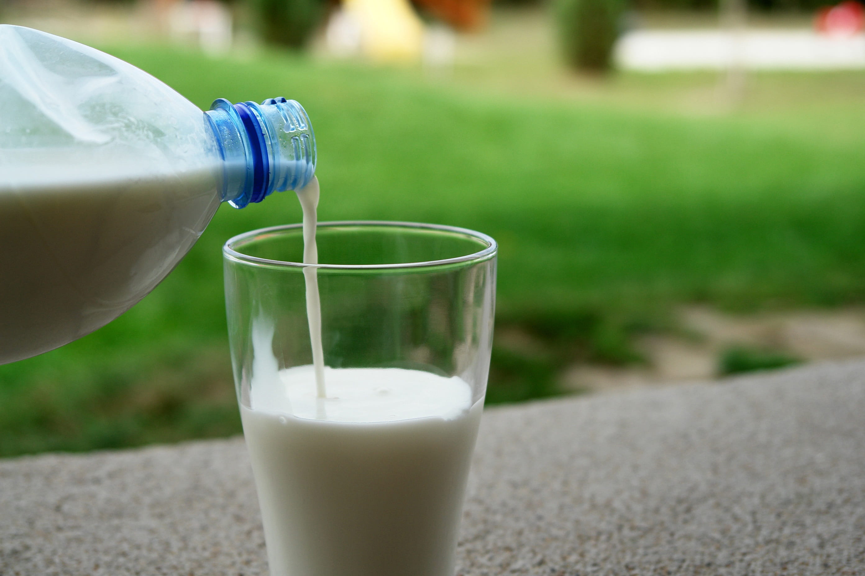 natural, texture, eating, drinking, calcium, outdoors, organic, yummy, Goat, grass, wellbeing, person, Drink, food and drink, glass, milk bottle, nature, HD Wallpaper