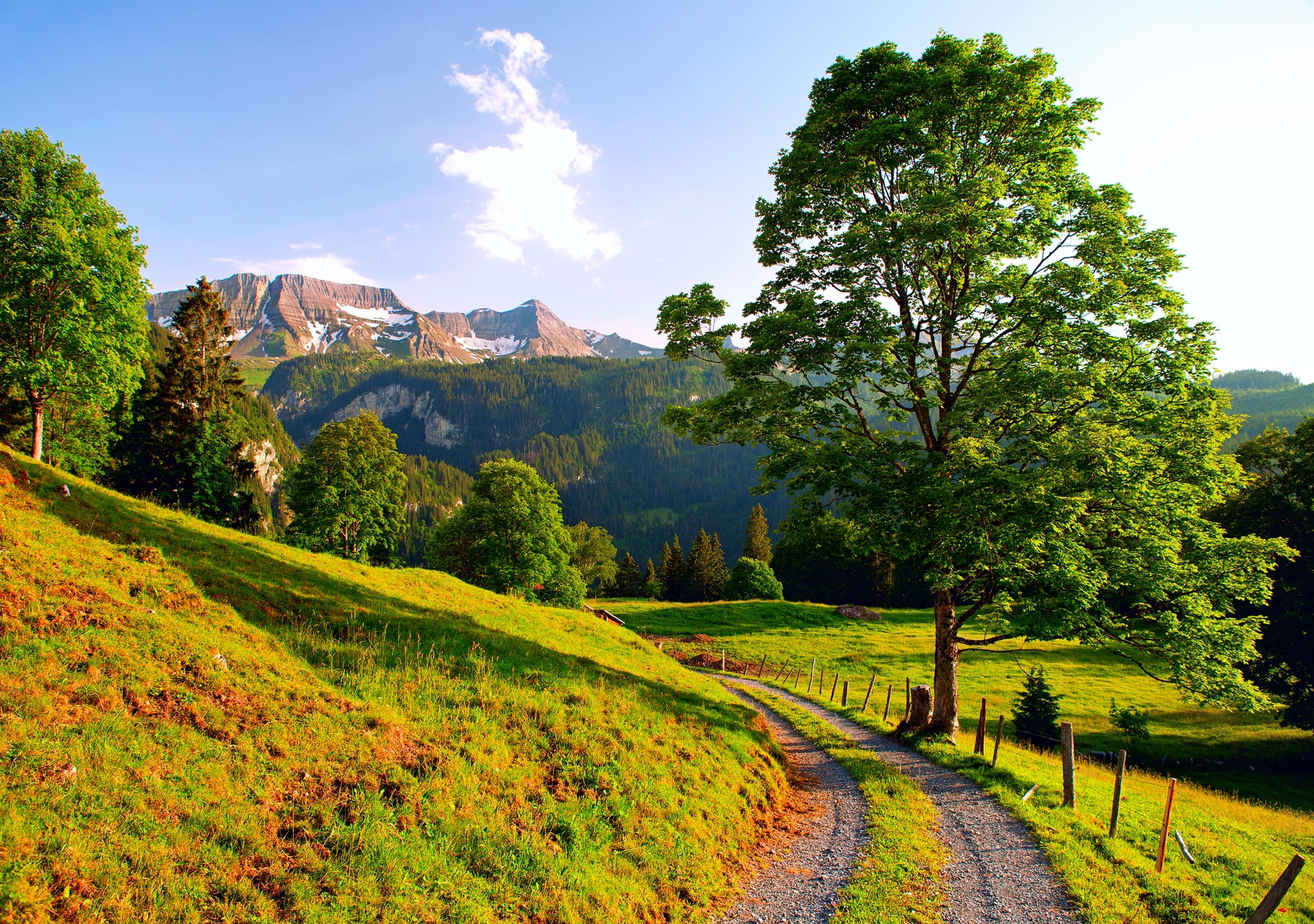 environment, outdoors, italy, hill, agriculture, direction, mountain, forest, european Alps, sunset, scenics - nature, italian Culture, valley, europe, HD Wallpaper