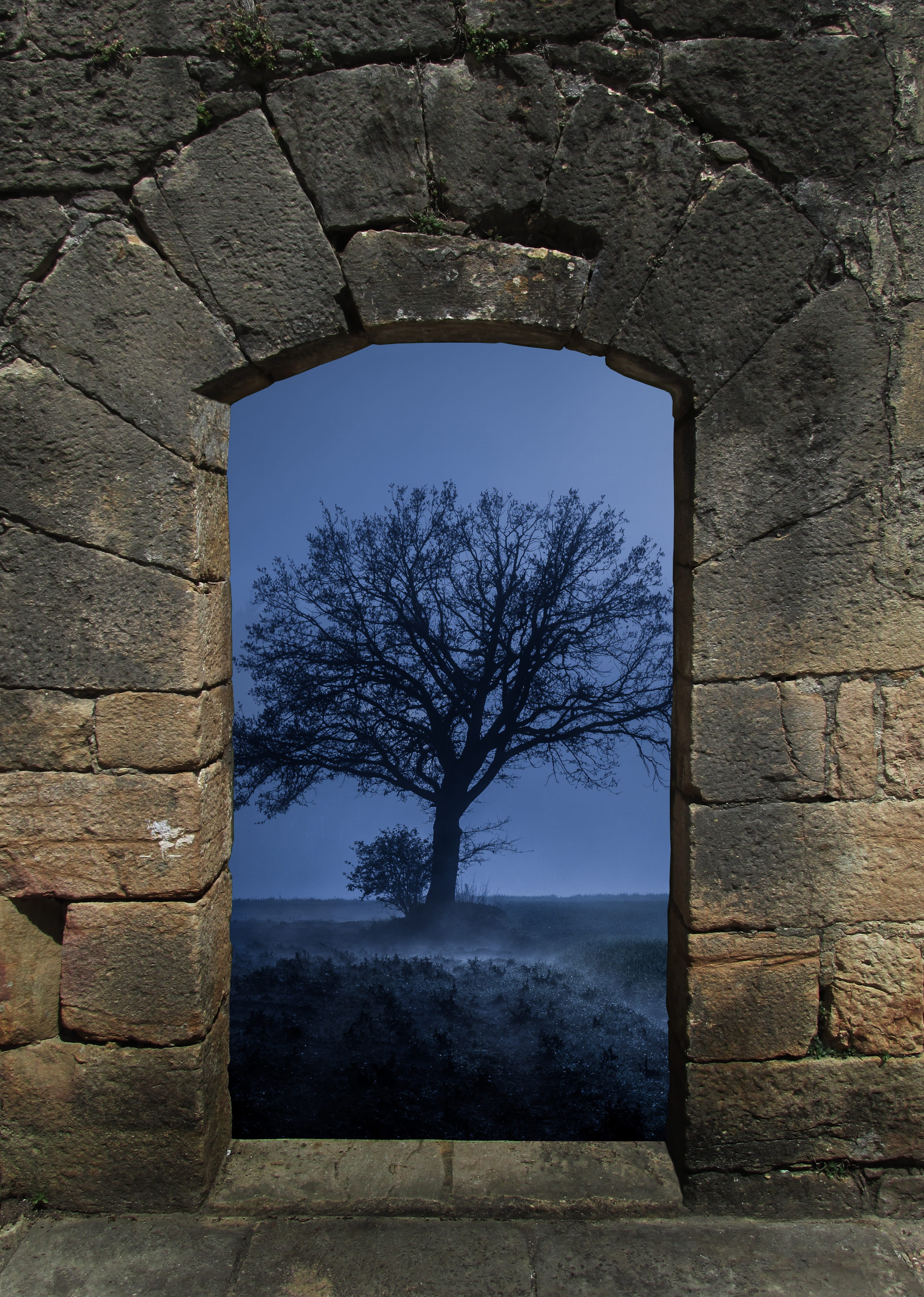 history, outdoors, blue, built structure, day, plant, stone wall, the medieval castle, structure, nature, fabulously, the ruins of the, 4K, gate, wall house, Phone HD Wallpaper