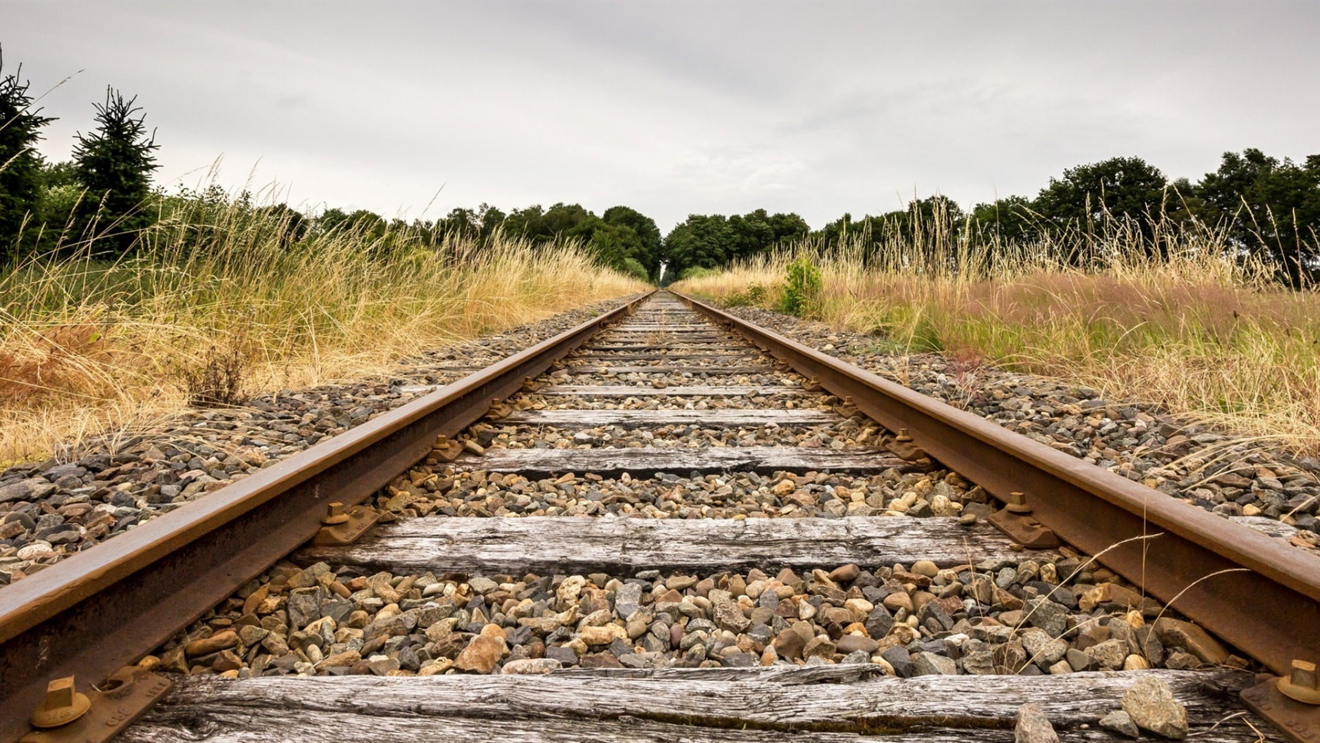 brown, Grass, steel, Stones, train, Trees, rail, 1080P, Railway, HD Wallpaper