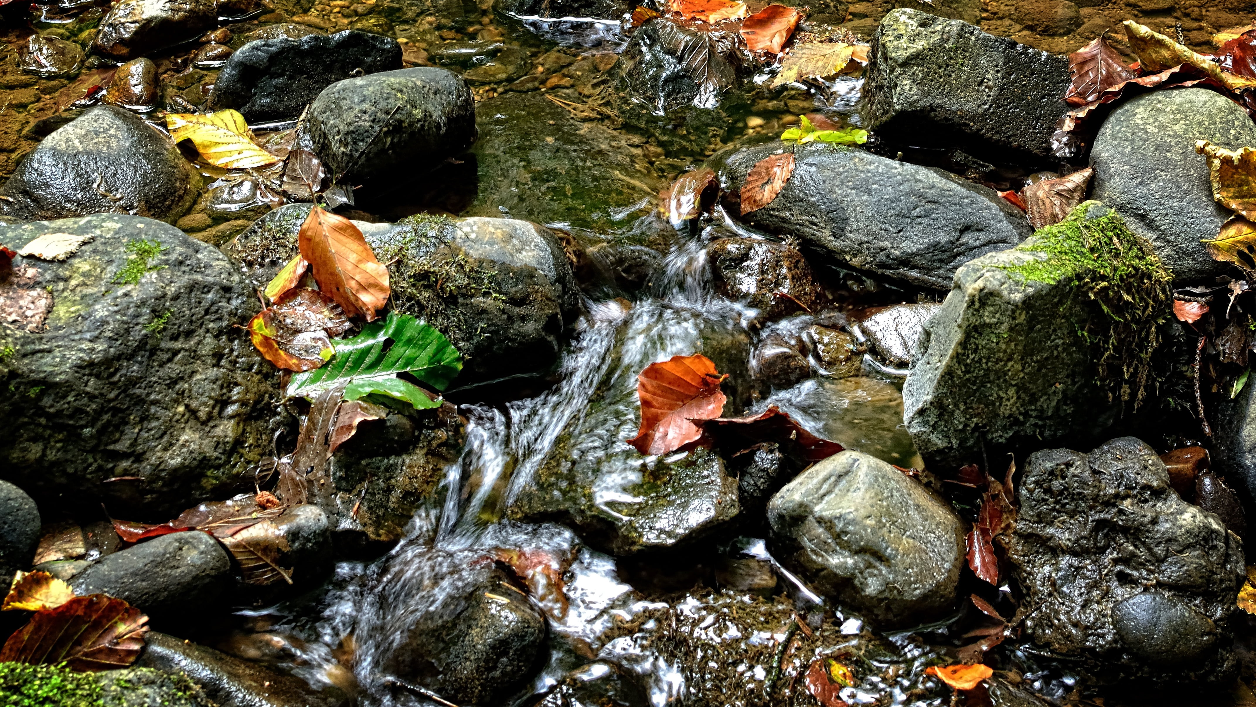 backgrounds, textured, full frame, rock - Object, moss, autumn, close-up, high angle view, bach, no people, solid, stone - Object, close, stones, stream bed, HD Wallpaper