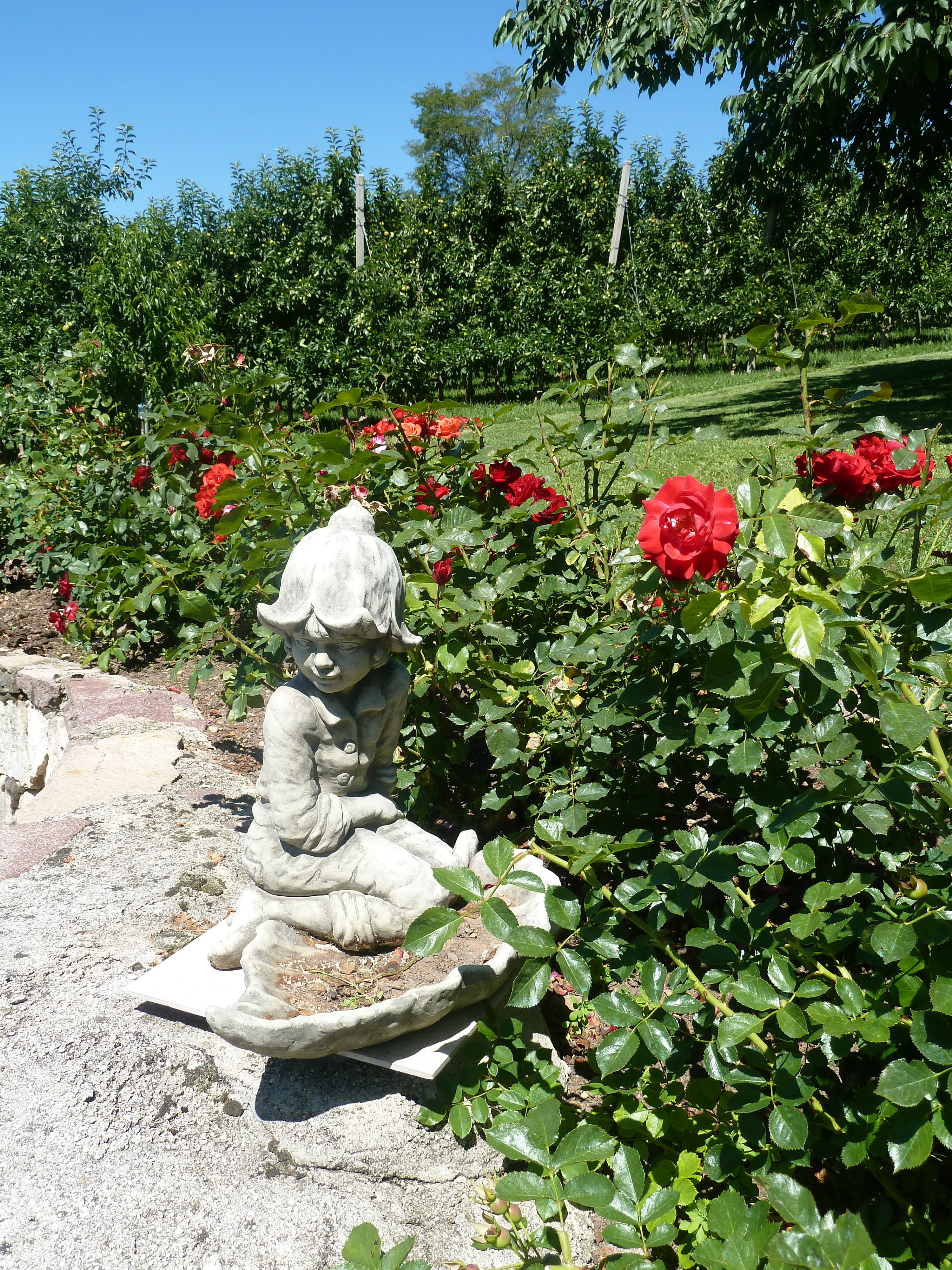 bed of roses, park, nature, 4K, stone figure, flowering plant, art and craft, representation, plant, red, human representation, garden, green color, outdoors, Phone HD Wallpaper