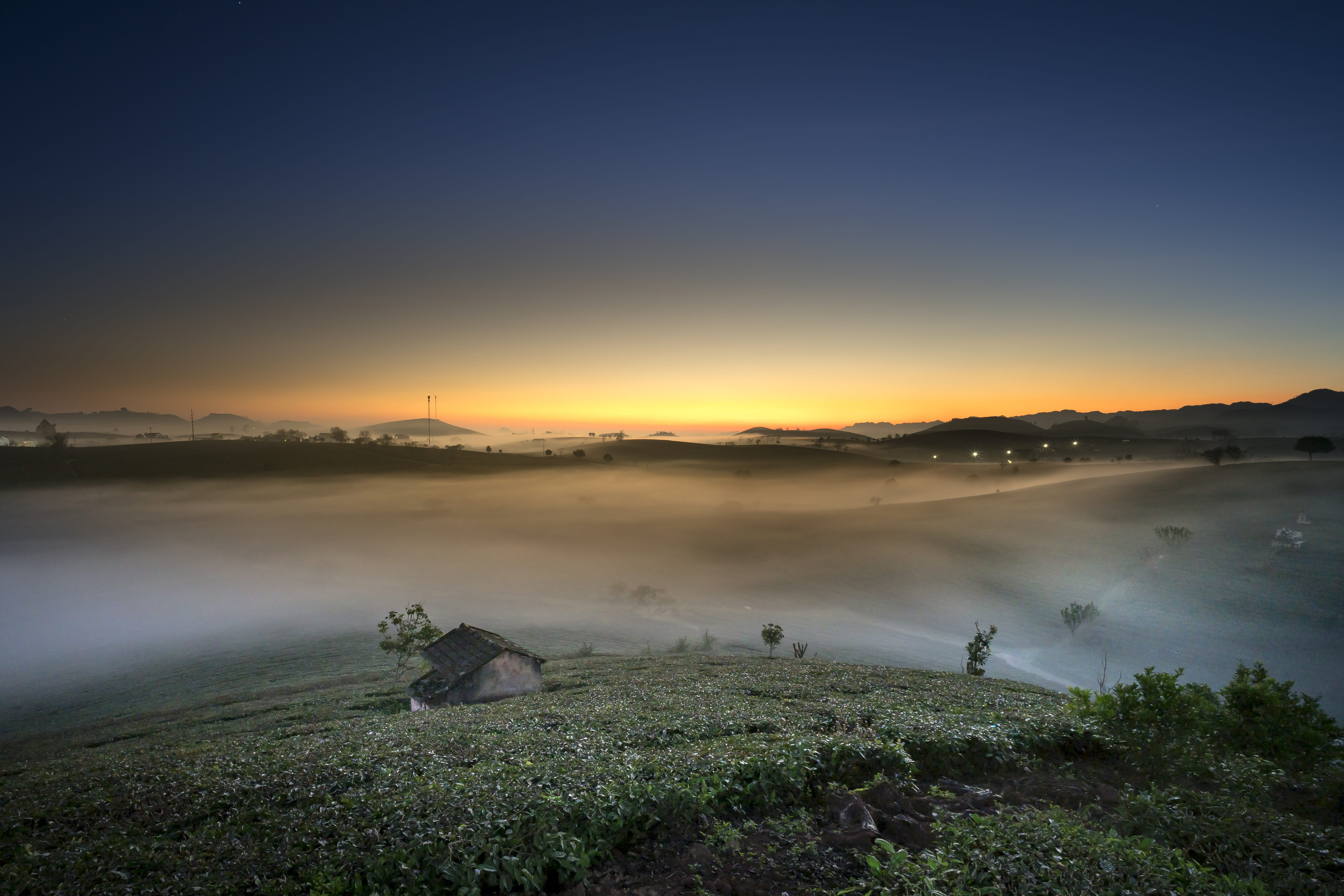 fog, fresh, nature, page, tea, grasses, background, outdoors, the field, water, the hill, home, high land, morning, the sun, tree, the son, summer, province, HD Wallpaper