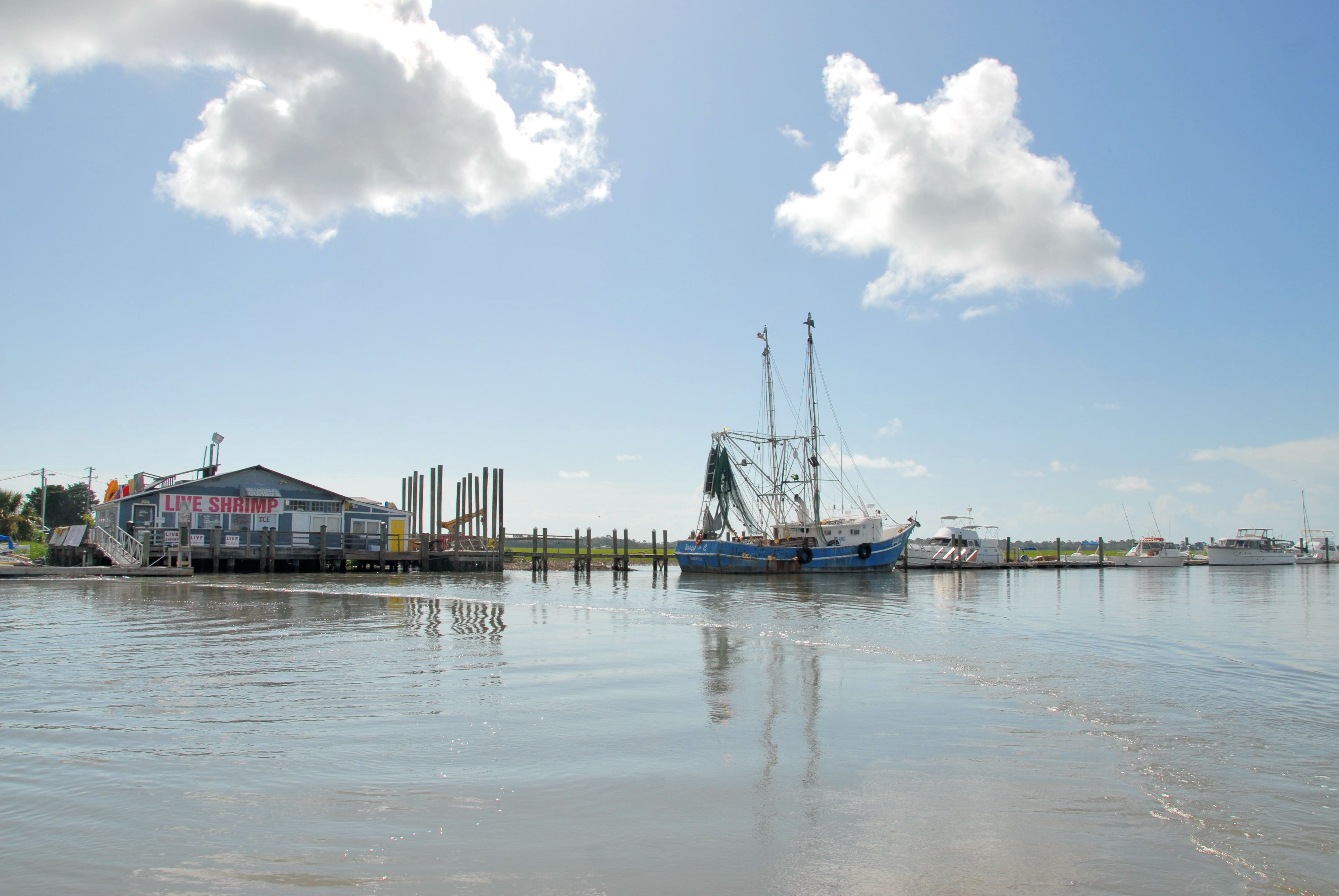 marine, no people, seafood, ship, fishing, mode of transportation, commercial, Netter, Nets, transportation, industrial, nautical vessel, business, food, HD Wallpaper