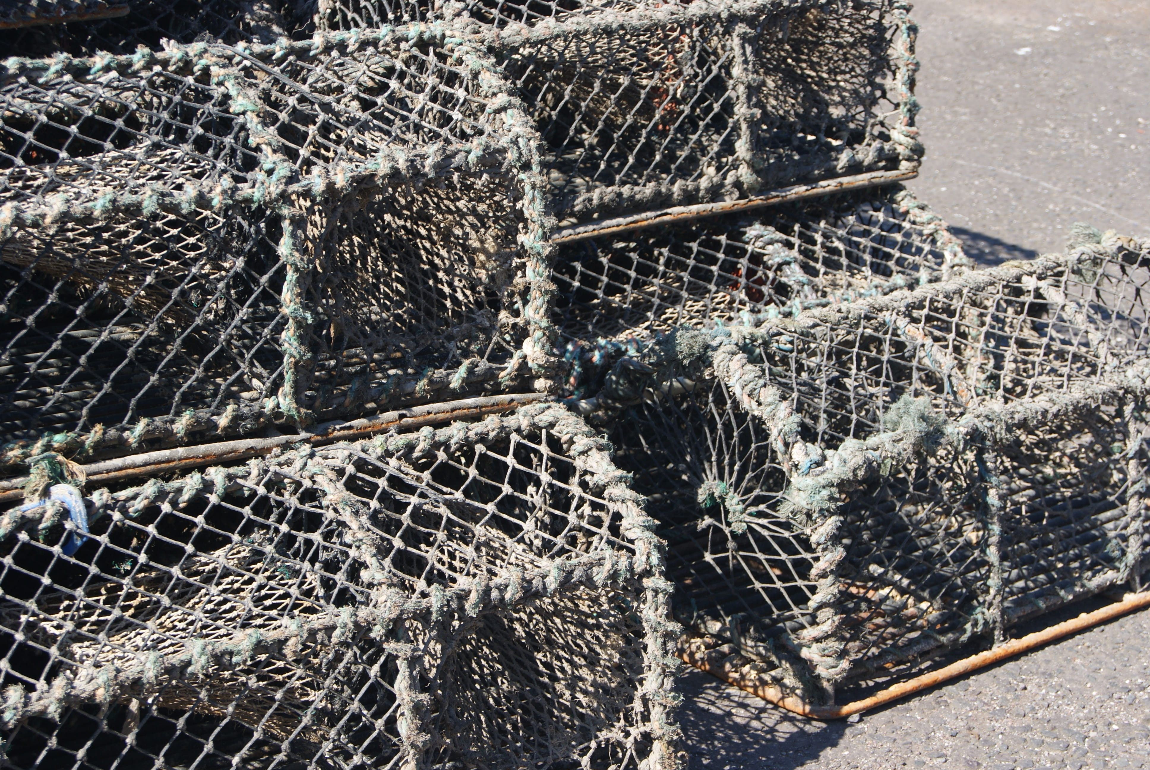 Industry, textile, harbor, fishing net, high angle view, traditional, trap, sunlight, backgrounds, culture, no people, textured, outdoors, cage, pattern, HD Wallpaper