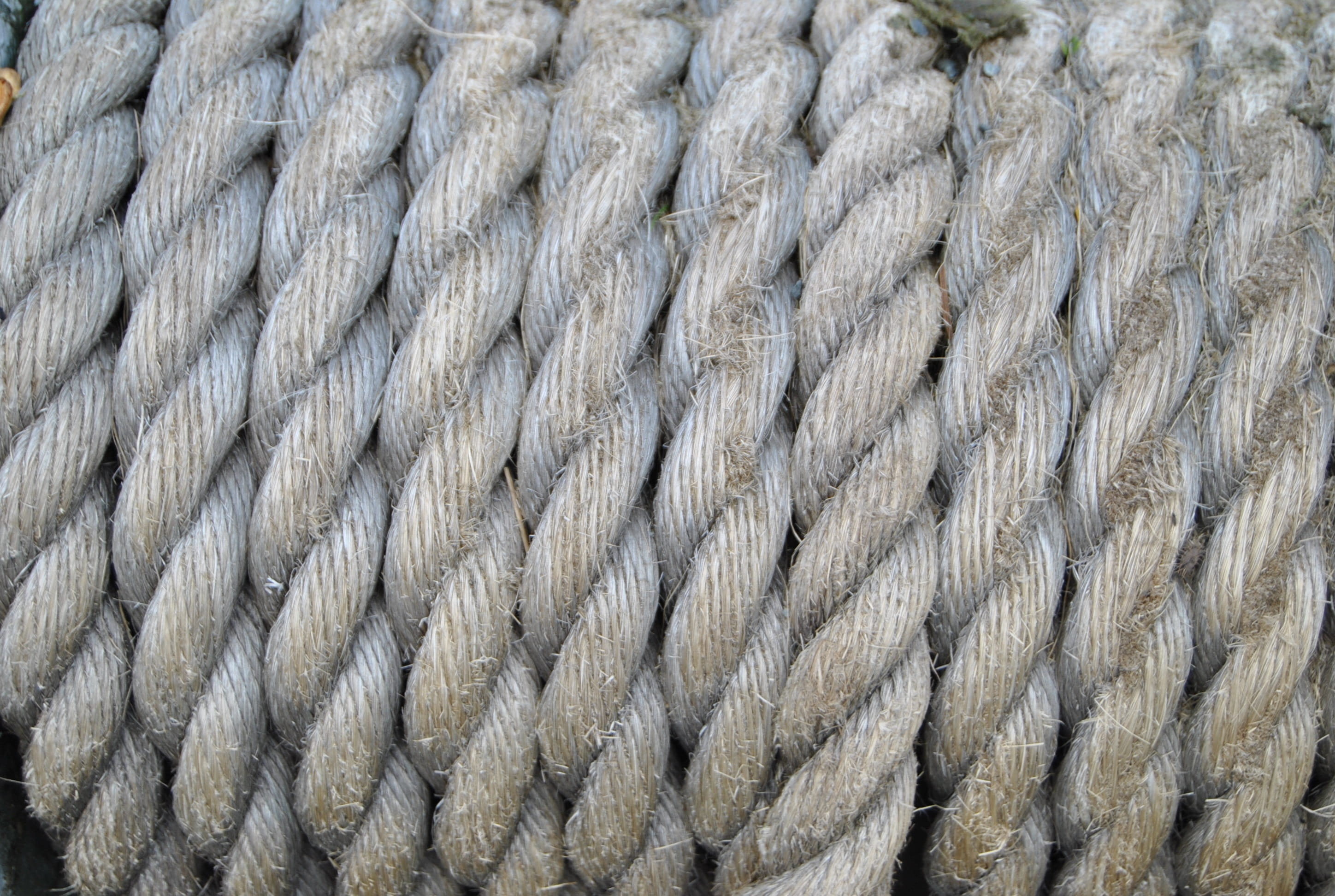 equipment, textile, transport, pattern, textured, maritime, cable, woven, Rope, day, repetition, Boat, Winch, rigging, animal, gray, marine, Nautical, outdoors, HD Wallpaper