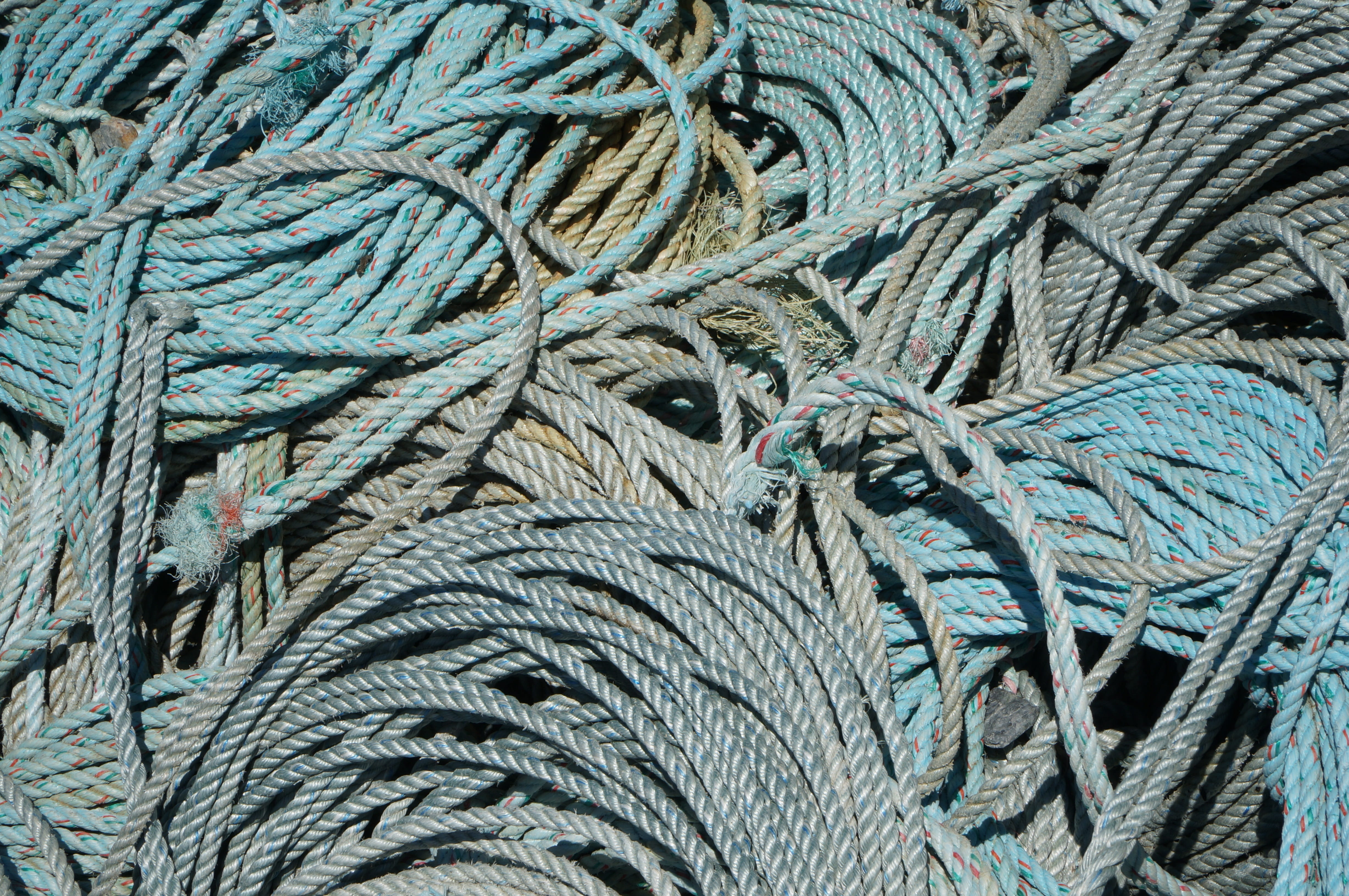 day, strength, Rope, fish, Fishing, textured, fishing net, pacific, catch, full frame, backgrounds, nautical, food, commercial, fishing, fishing industry, HD Wallpaper