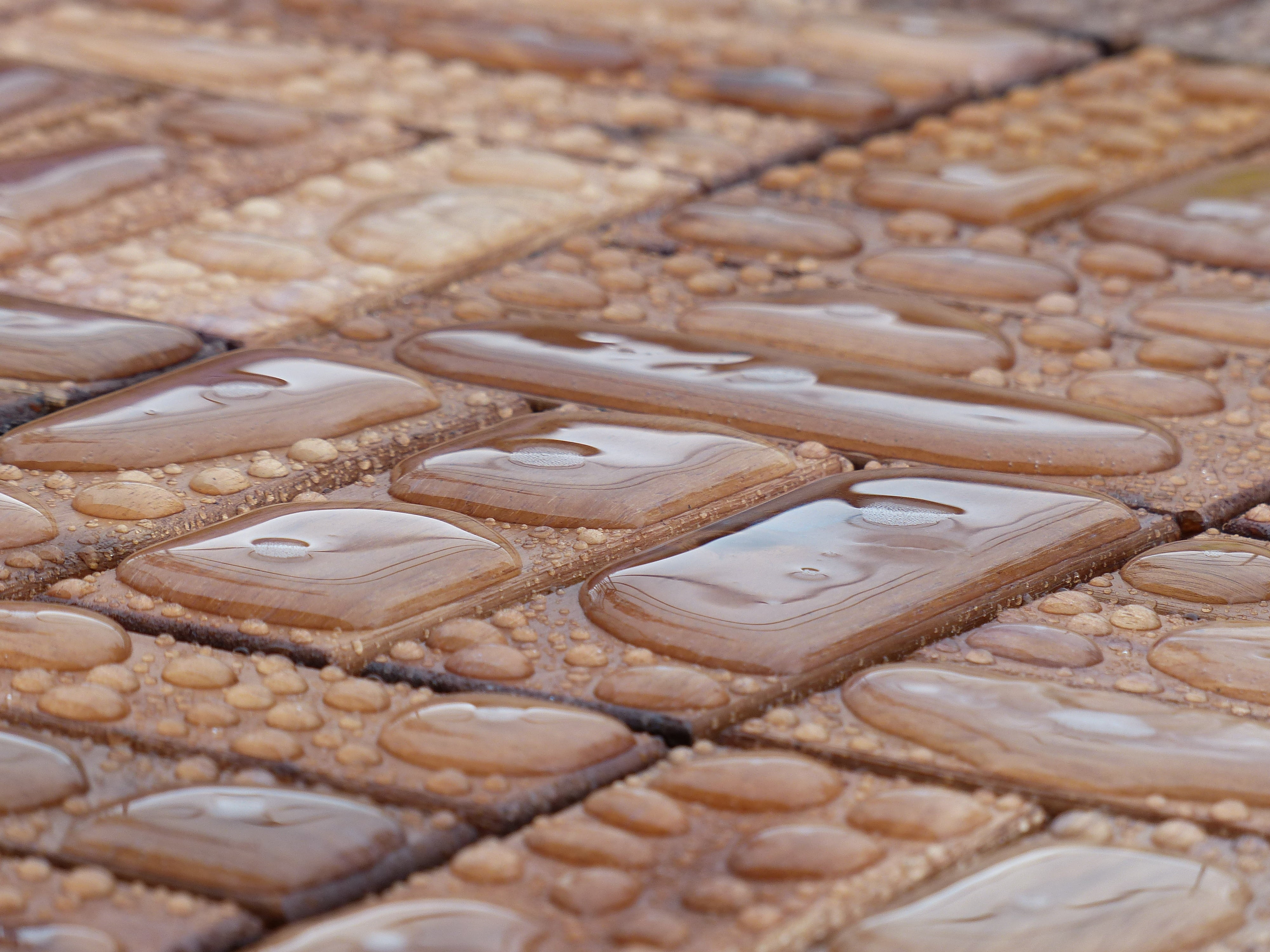 high angle view, no people, arrangement, wood, freshness, food and drink, pattern, shape, sweet food, industry, day, 4K, abundance, agriculture, dew, water running, HD Wallpaper