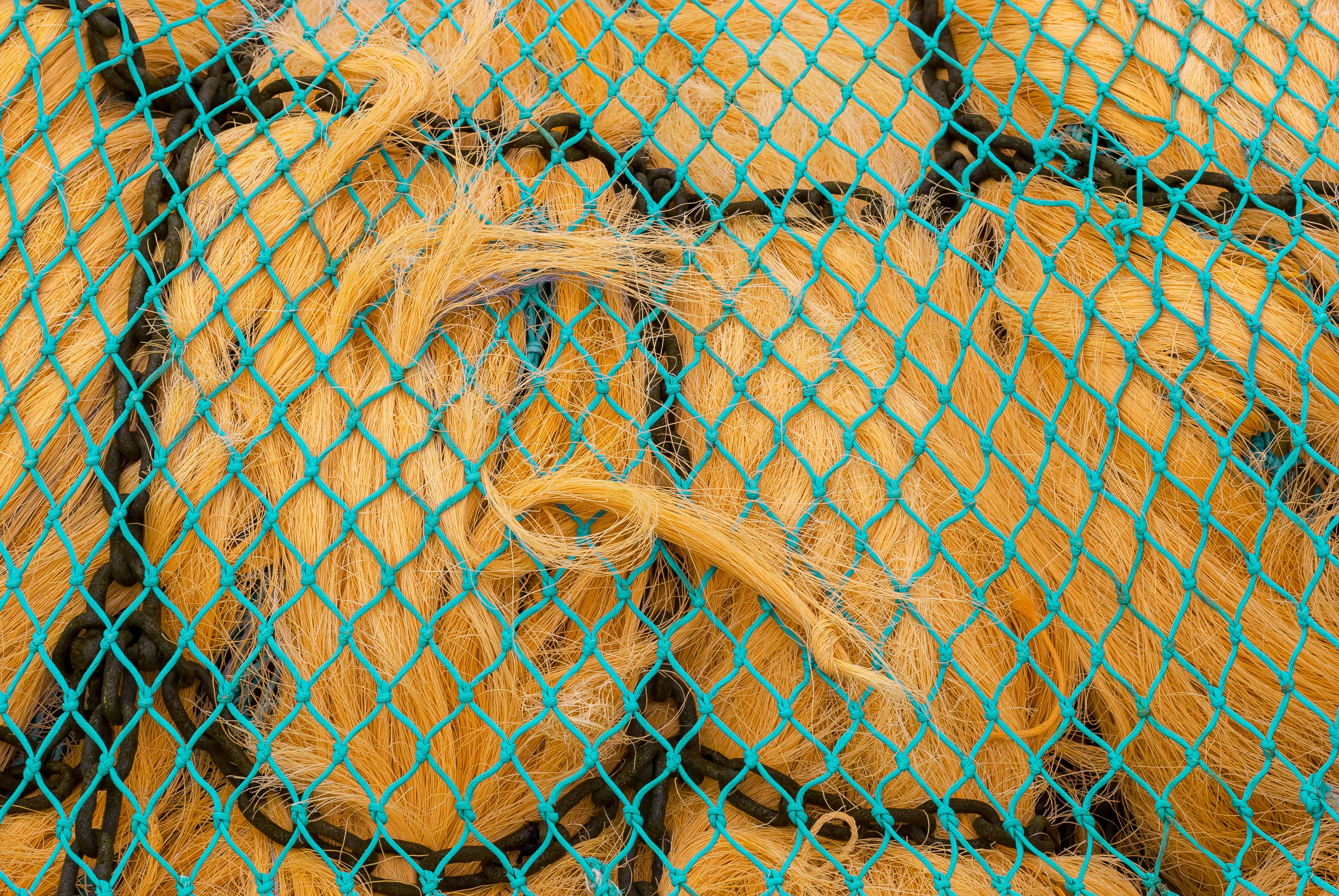 fishing, sea, no people, textured, full frame, rope, outdoors, pattern, day, fishing industry, tangled, fisherman, design, color, commercial fishing net, HD Wallpaper