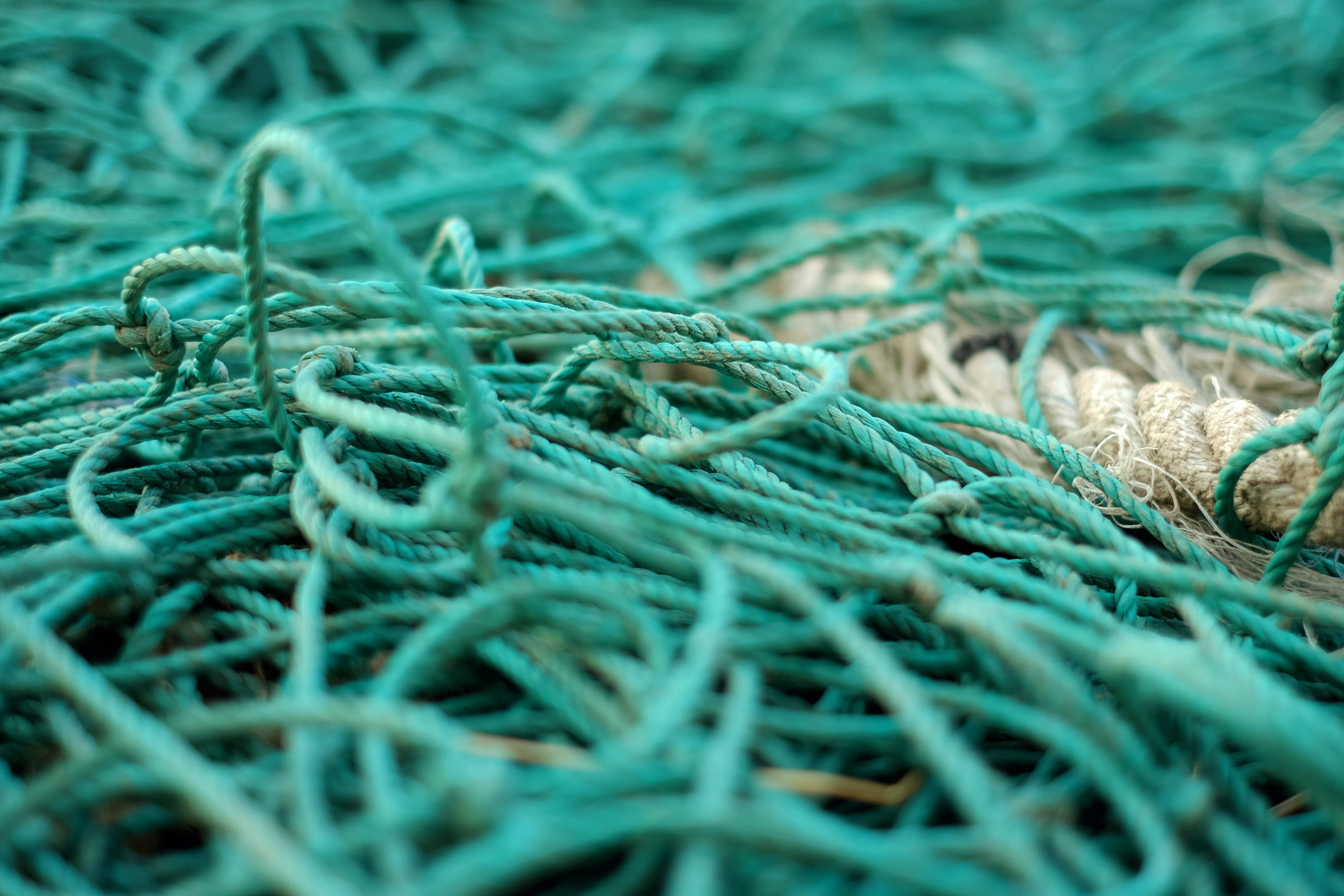close-up, green color, nature, complexity, ropes, fishing industry, backgrounds, pattern, full frame, fishing, fishing net, 4K, green, photography, blue, HD Wallpaper