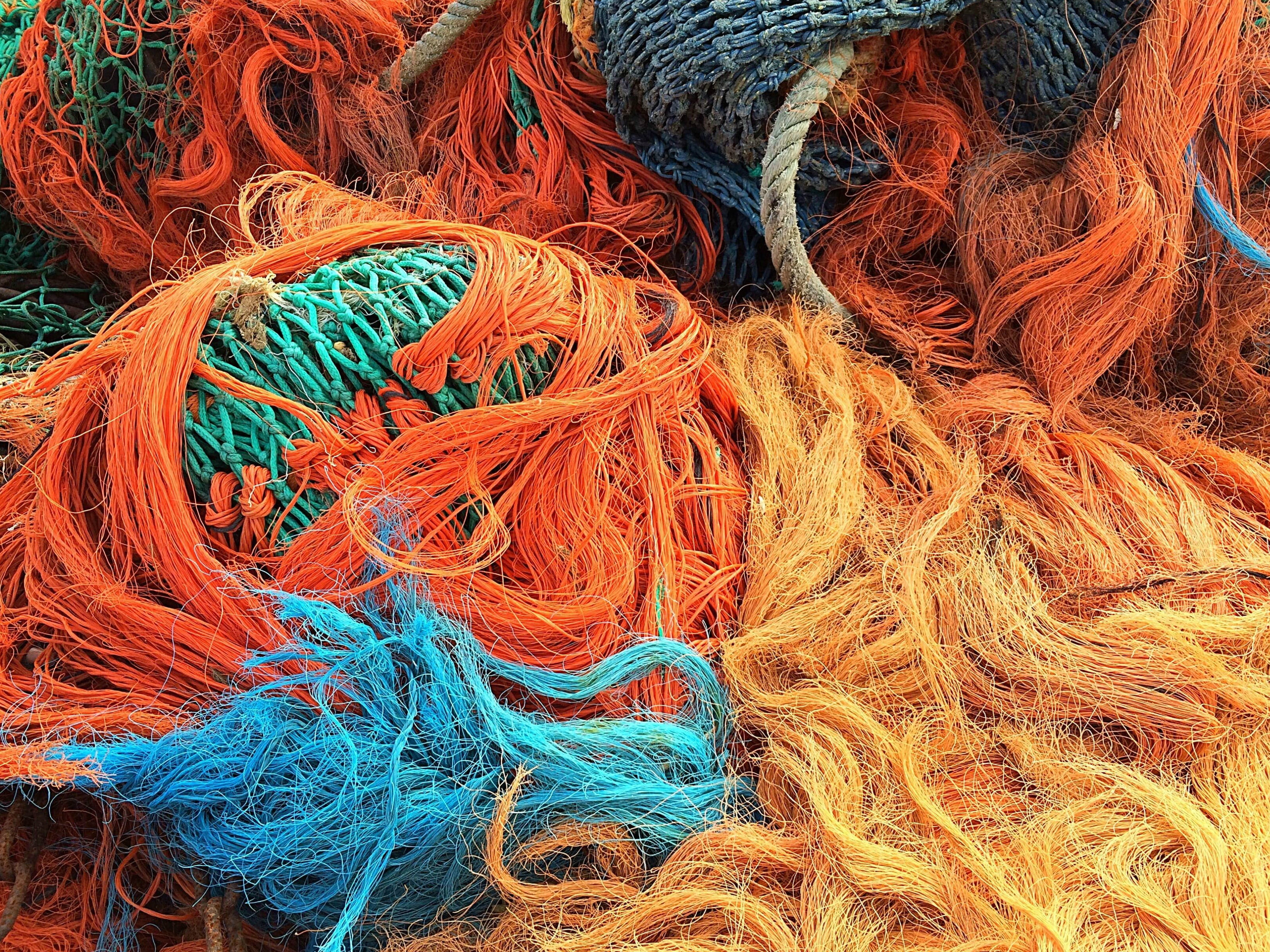 fish, full frame, orange color, choice, high angle view, fishing industry, abundance, textile, no people, purple, pattern, nets, colorful, close-up, multi colored, HD Wallpaper
