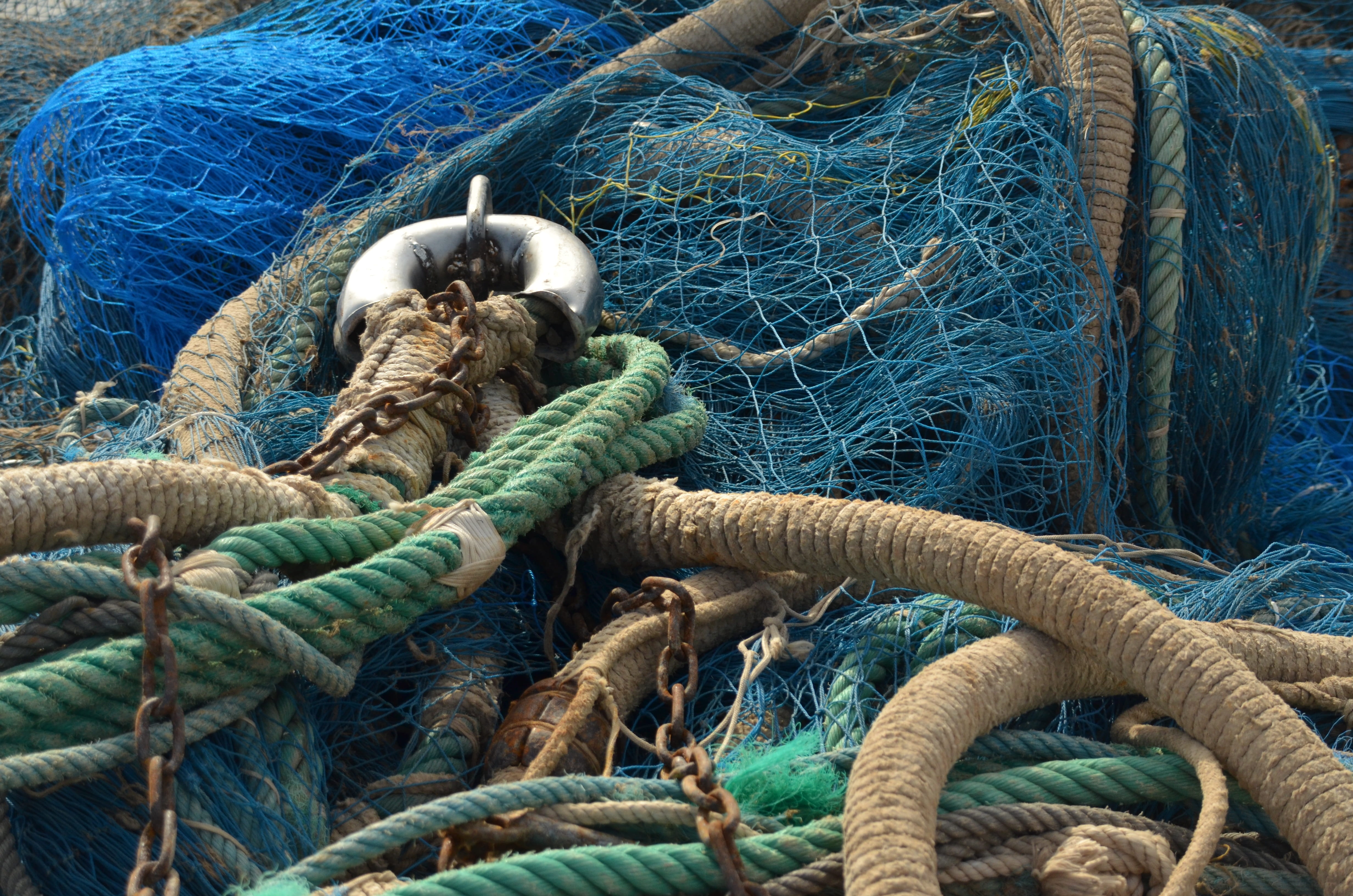 fishing industry, fishing net, Cable, day, outdoors, sea, high angle view, nature, rod, animal, 4K, fishing, turquoise colored, nautical vessel, harbor, HD Wallpaper