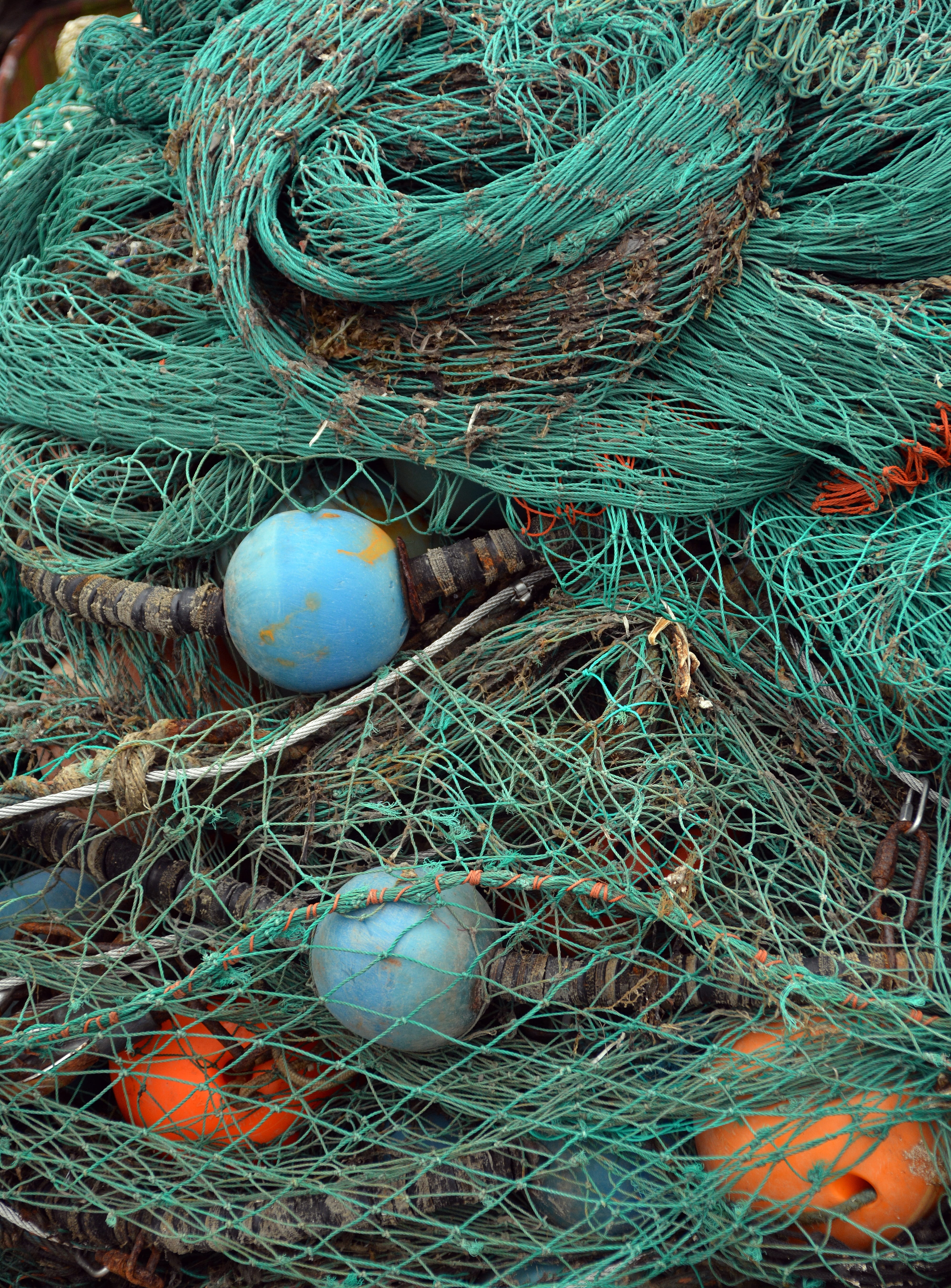 rope, full frame, high angle view, animal Nest, close-up, backgrounds, fishing, equipment, buoy, complexity, blue, fishnet, fishing Industry, day, no people, Phone HD Wallpaper