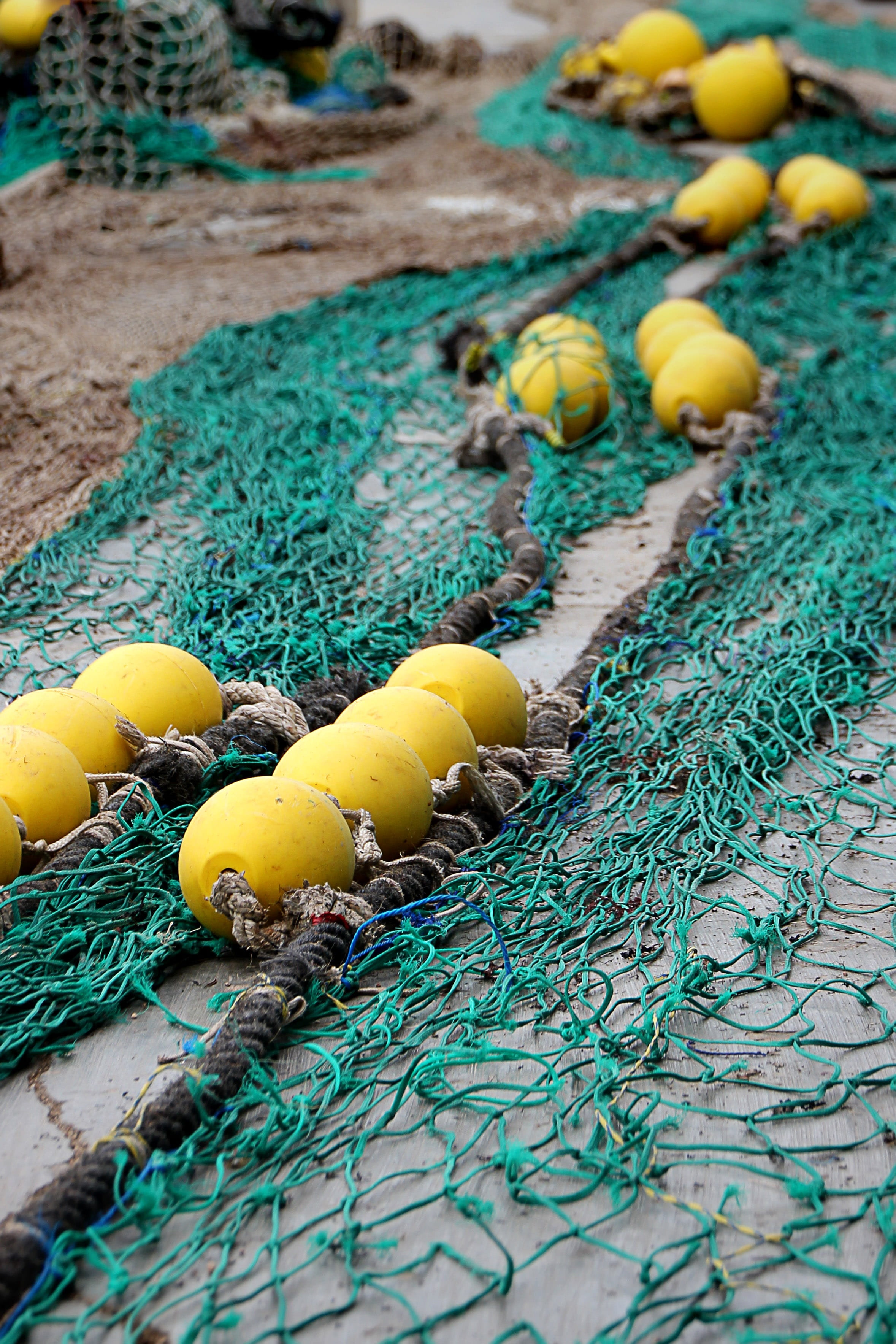 multi colored, Port, fishing industry, yellow, tangled, fishing, rope, nature, dry nets, high angle view, buoy, choice, Fishing Net, land, 2K, outdoors, Phone HD Wallpaper