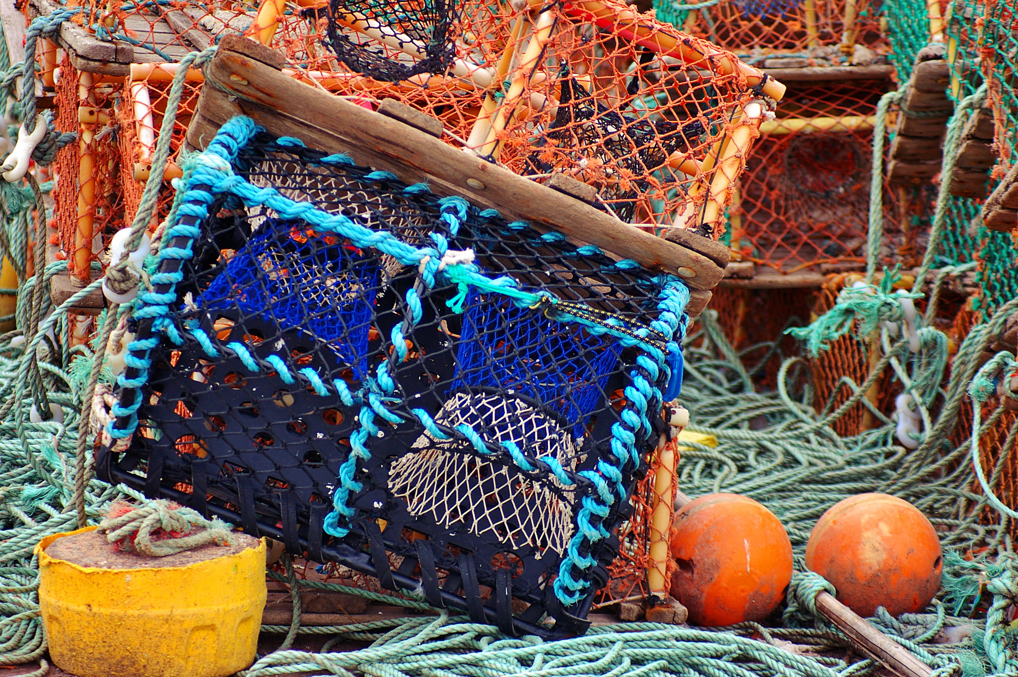 plant, fishing, container, outdoors, food and drink, food, handbag, accessories, blue, produce, large group of objects, wood - material, commercial fishing net, HD Wallpaper