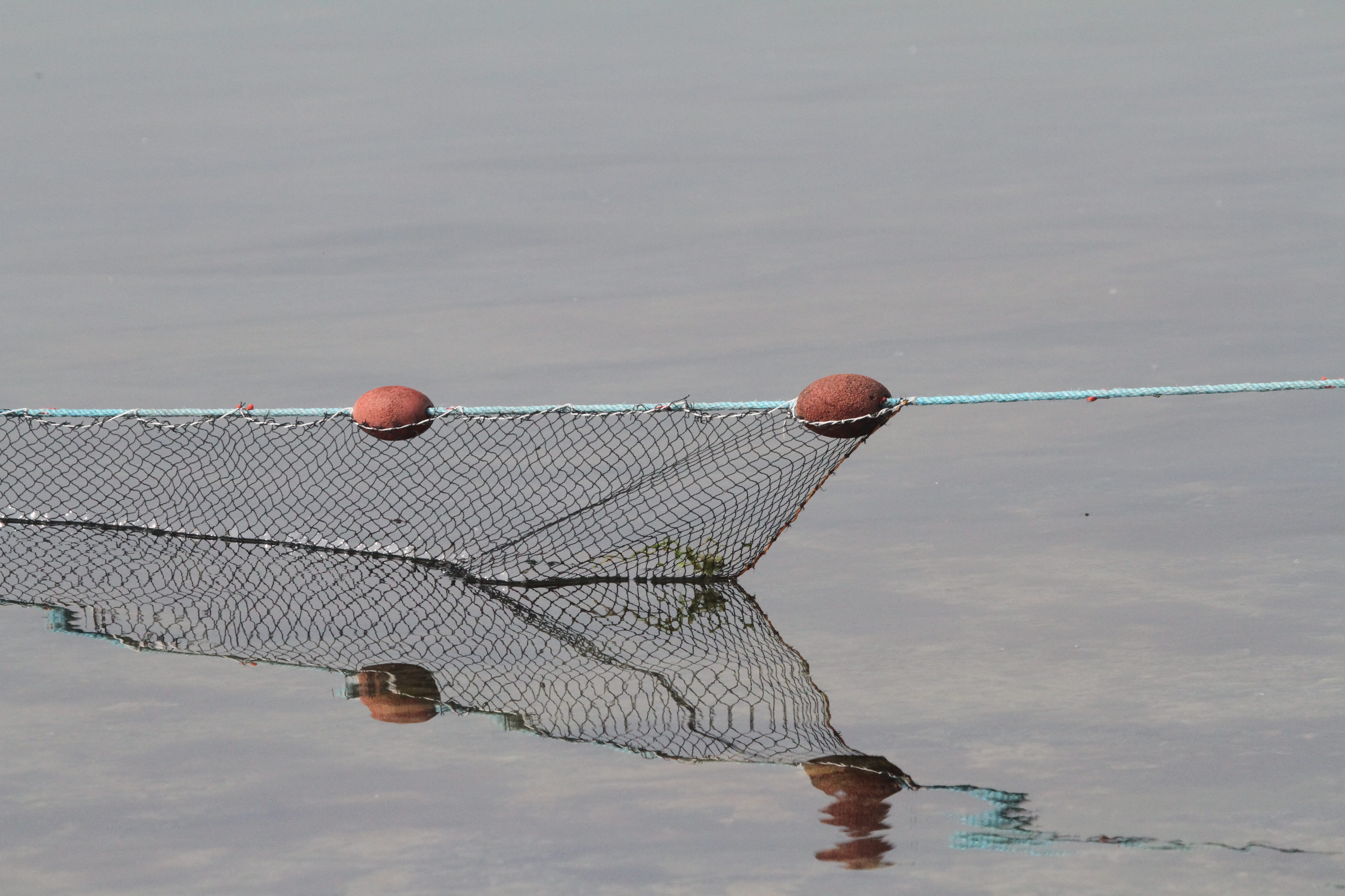 fishing net, sky, net, fishing industry, commercial fishing net, transportation, lifestyles, reflection, sea, waterfront, outdoors, day, no people, cloud - sky, HD Wallpaper