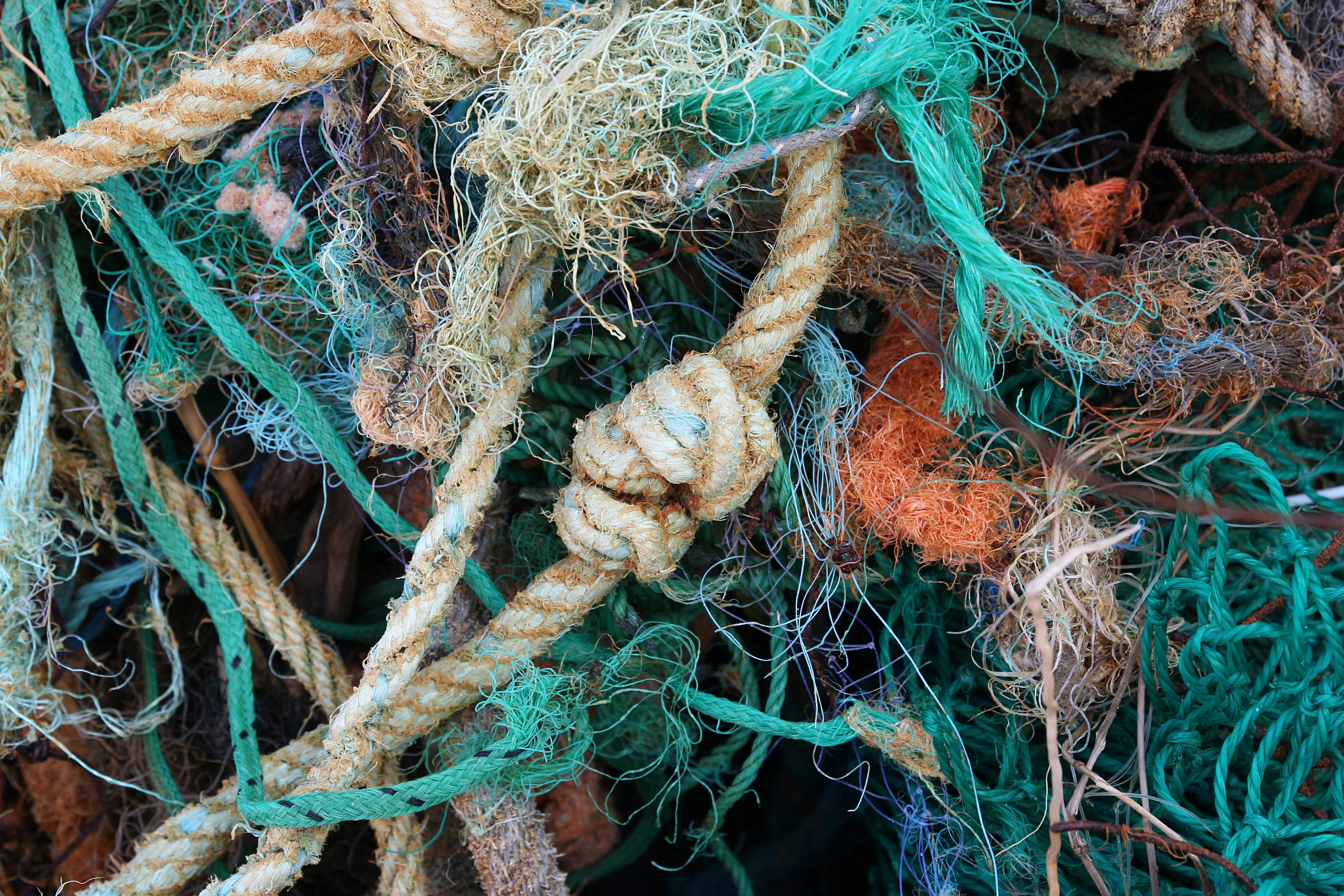 complexity, close-up, land, 2K, full frame, flotsam, backgrounds, fishing rod, nature, tangled, growth, all, outdoors, web, fishing industry, no people, HD Wallpaper