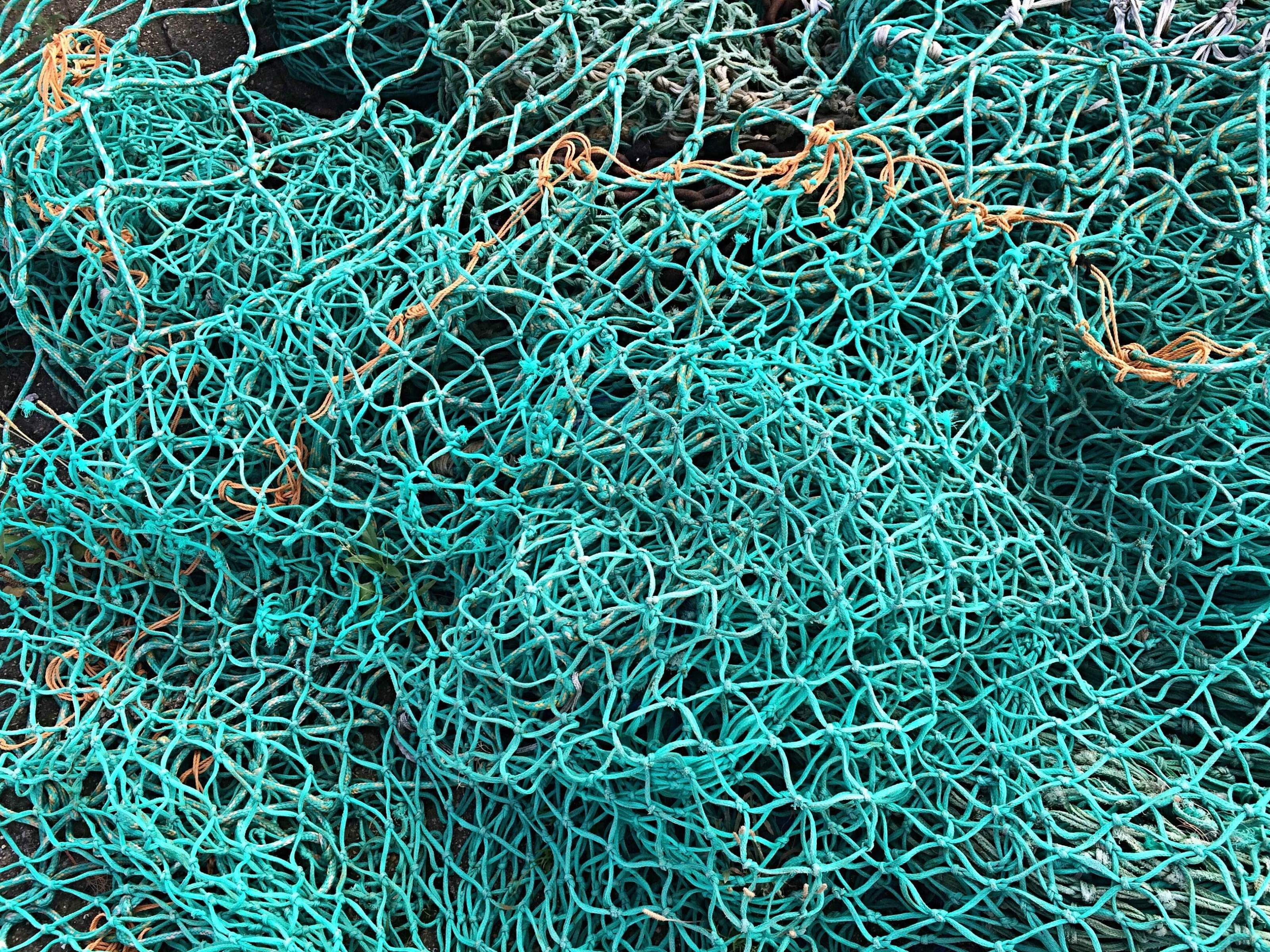 fishing industry, turquoise colored, full frame, 2K, no people, fischer, day, blue, fishing, man made, sea, high angle view, coast, fishing net, pattern, HD Wallpaper
