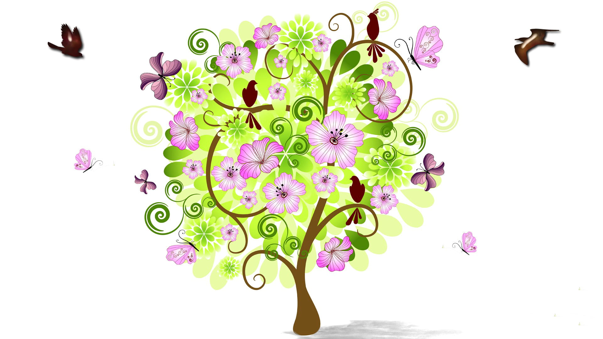 beauty In Nature, petal, birds, indoors, still life, elegance, plant part, leafed, computer Graphic, studio shot, botany, pink, flower Head, summer, flowers, HD Wallpaper