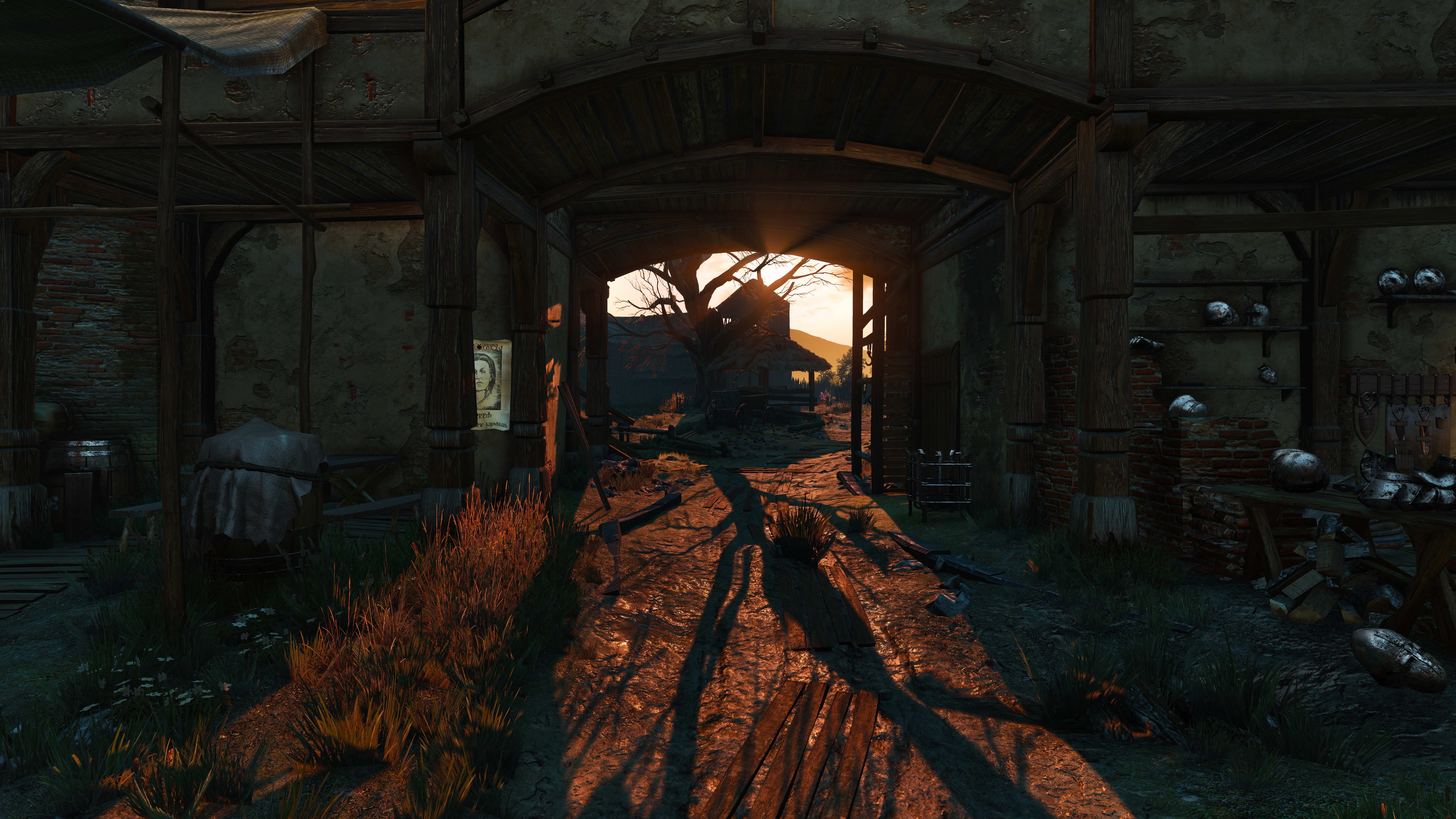 The Witcher 3 Wild Hunt, Velen, The Witcher, 8K, The Witcher 3, HD Wallpaper